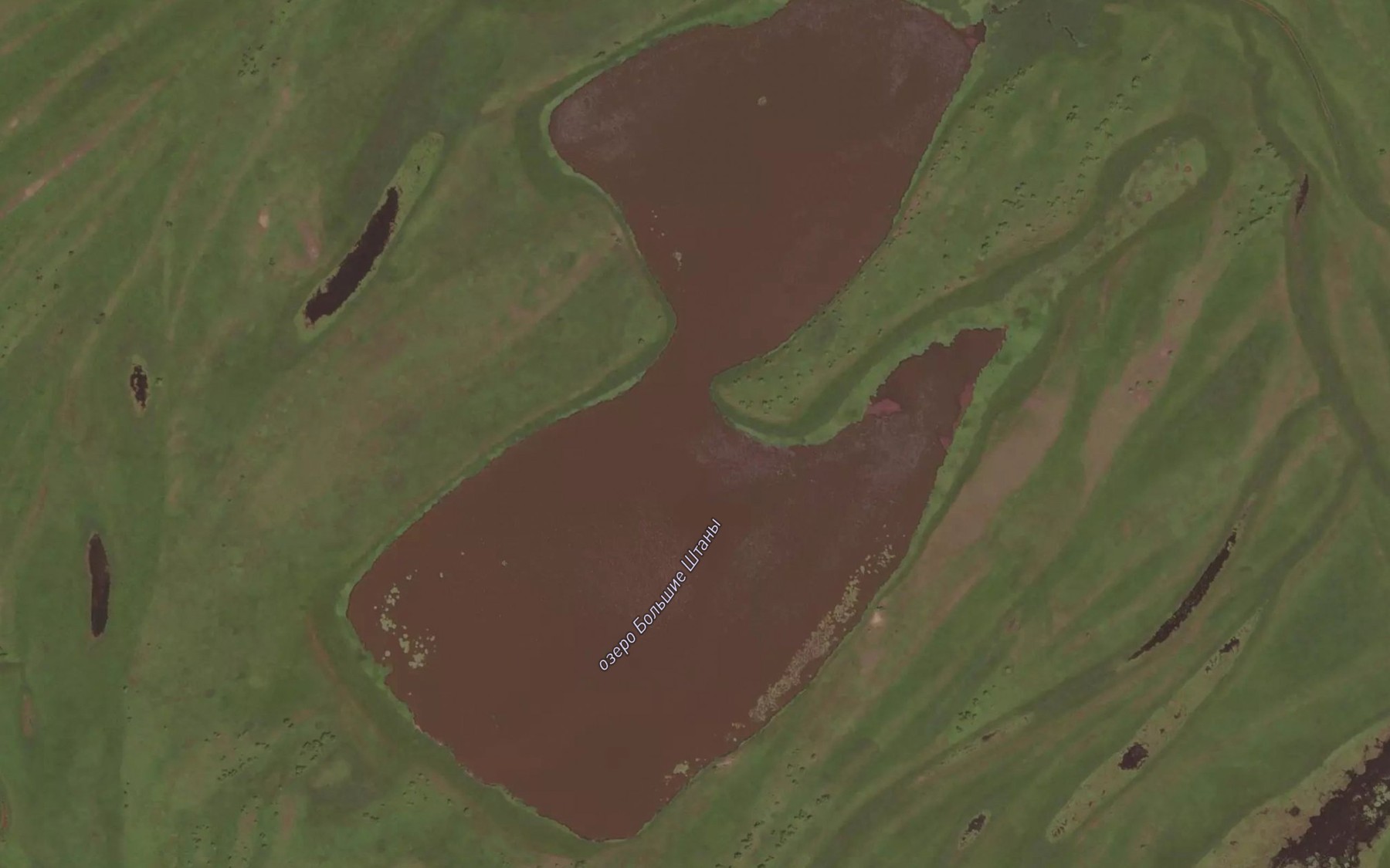 Satellite map of the Ozero Bol'shiye Shtany