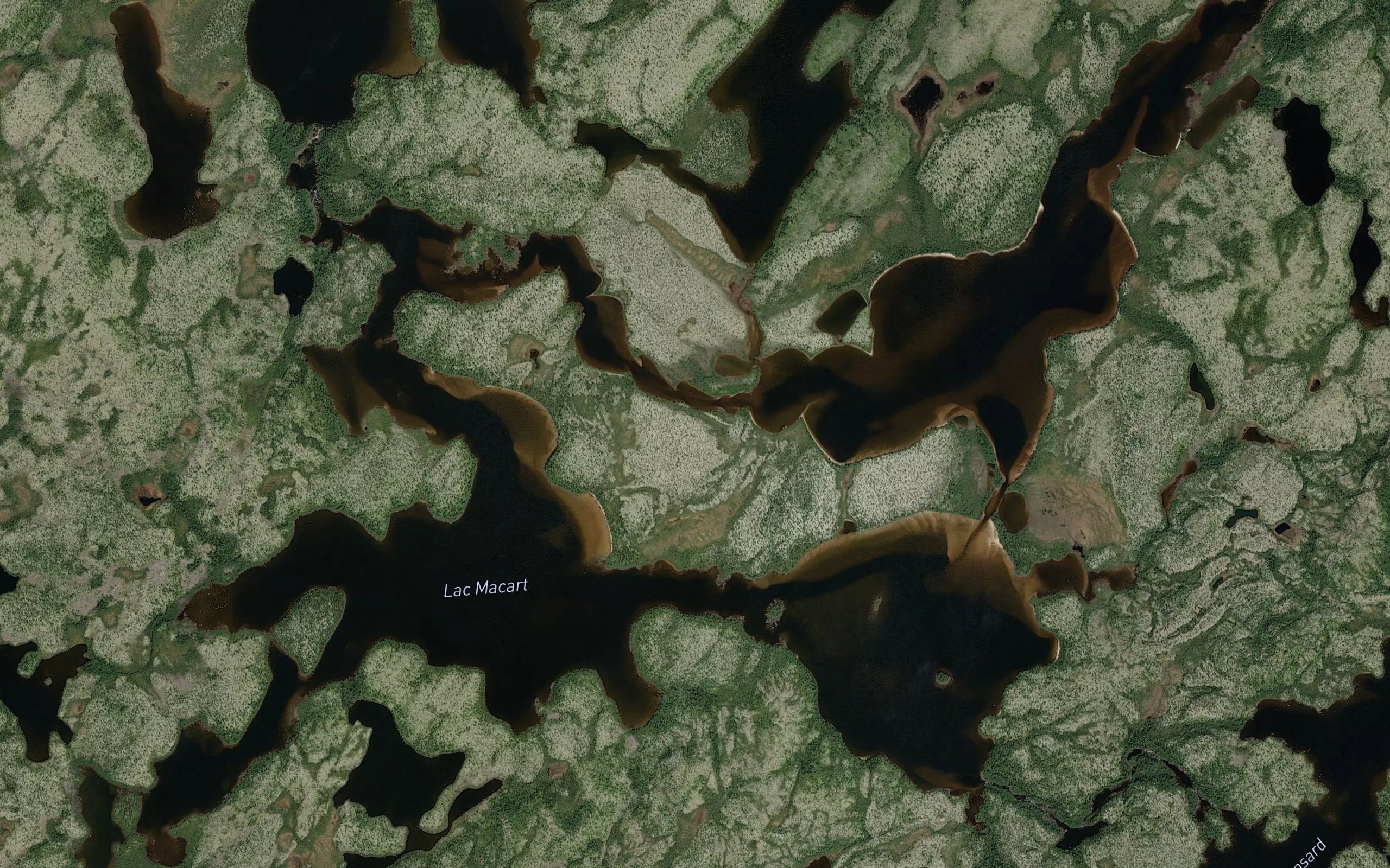 Lac Macart
