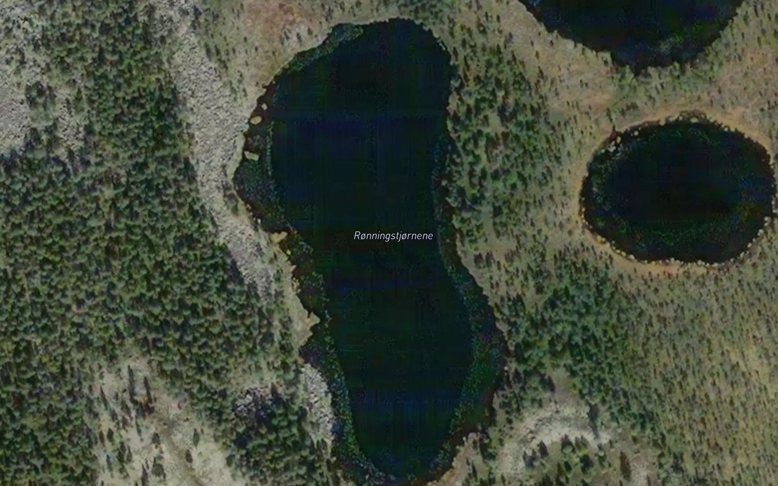 Ronningstjonna