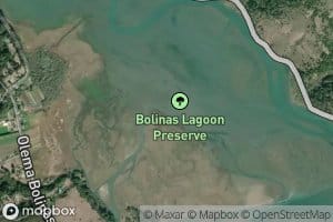 Bolinas Lagoon