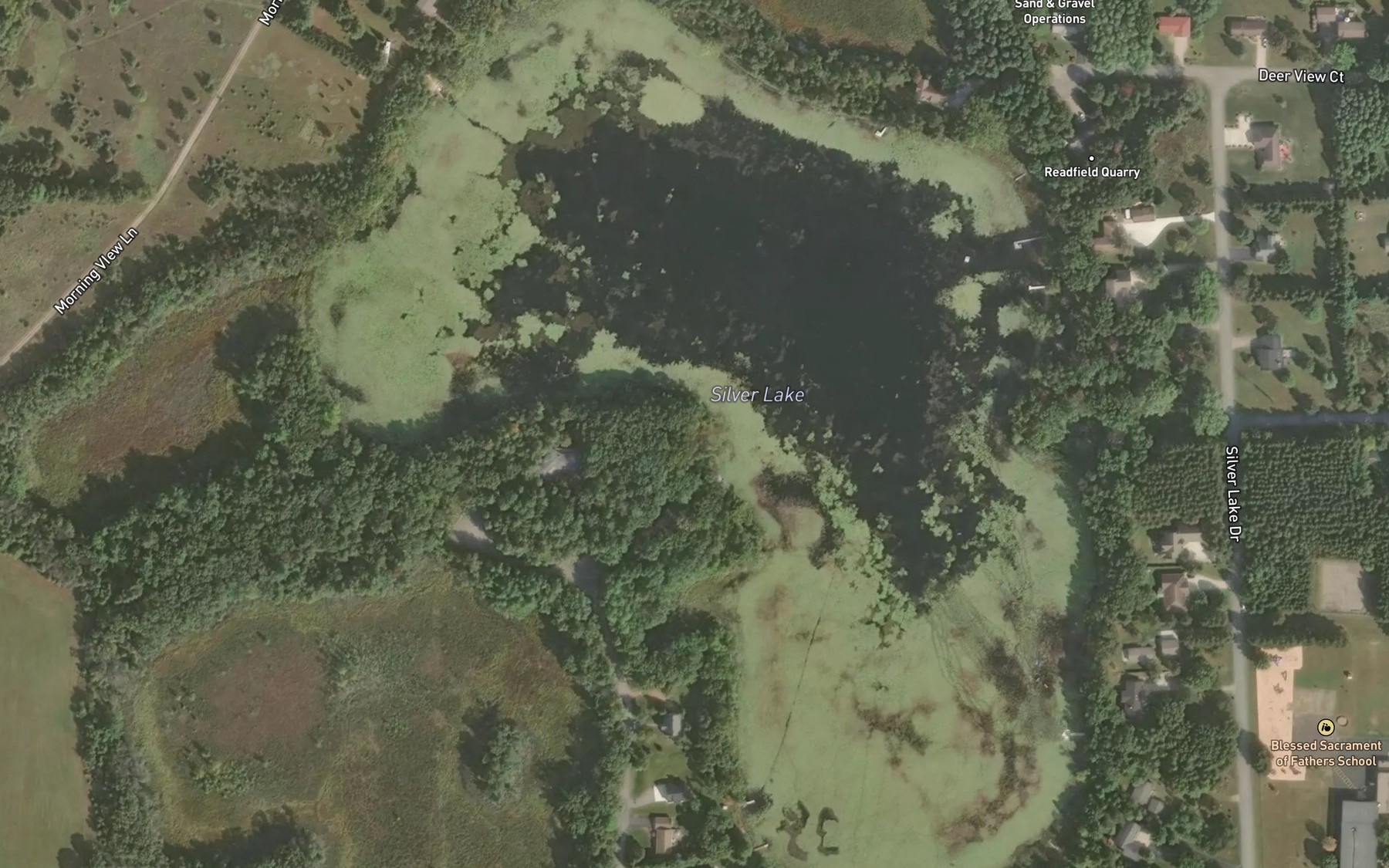 Satellite map of the Silver Lake