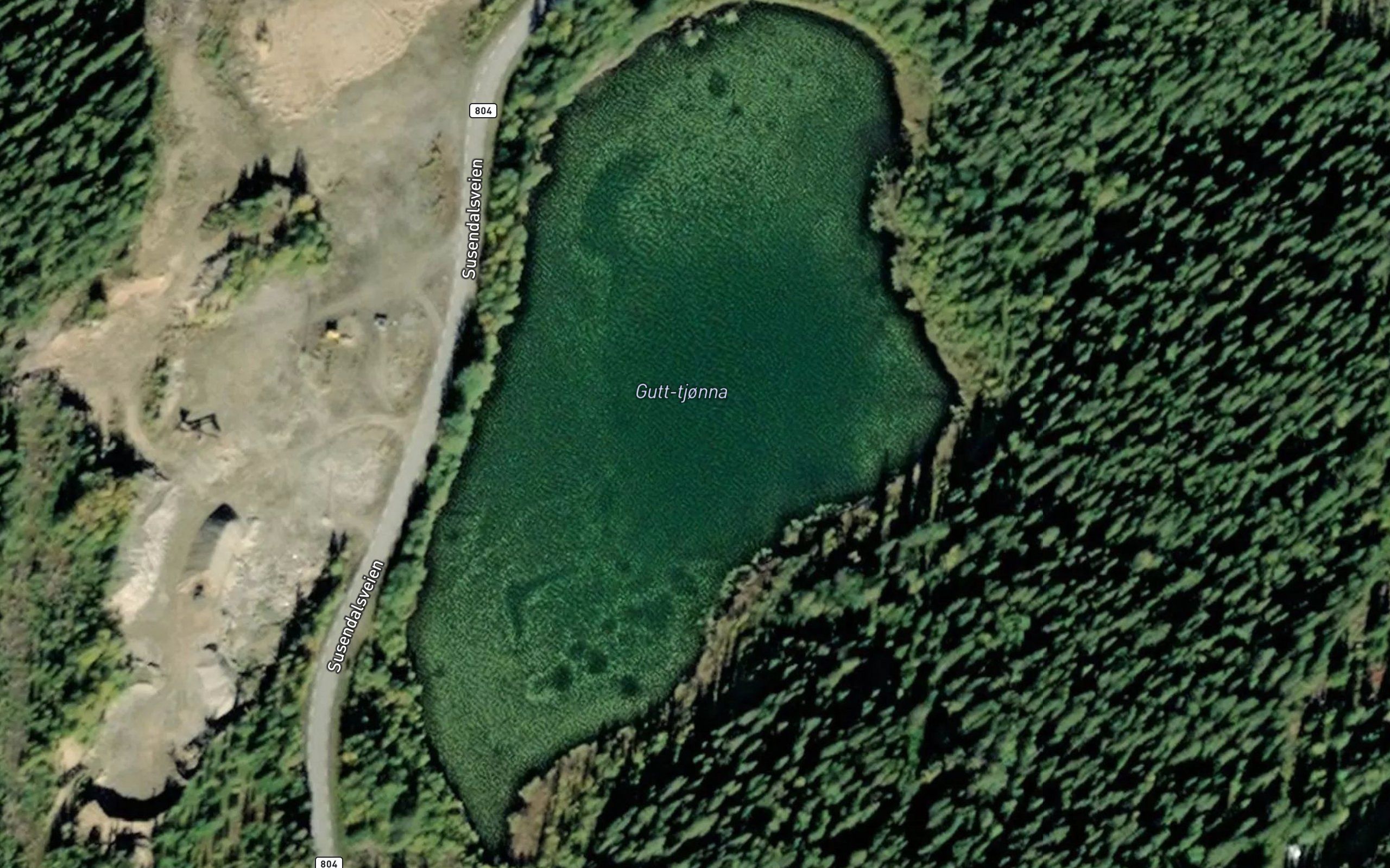 Guttjorna