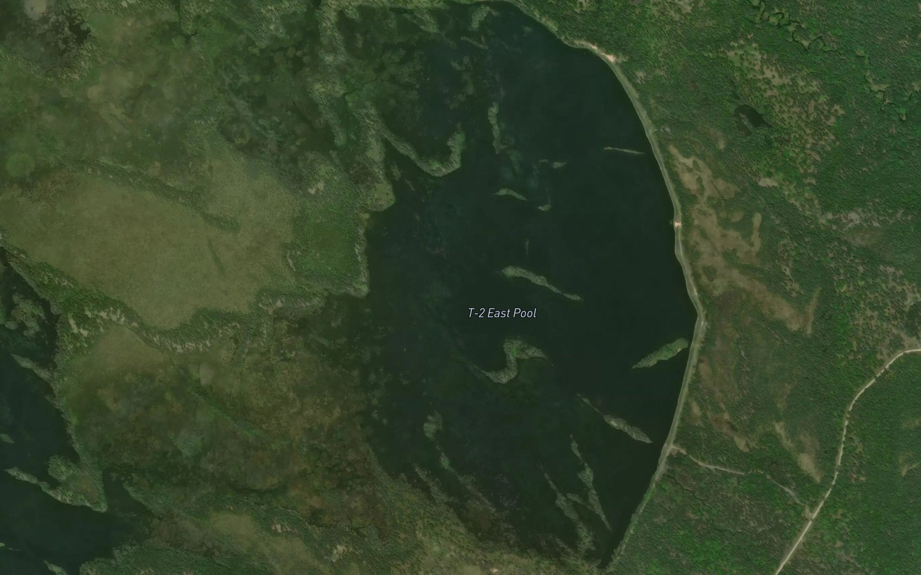 Satellite map of the T Pool
