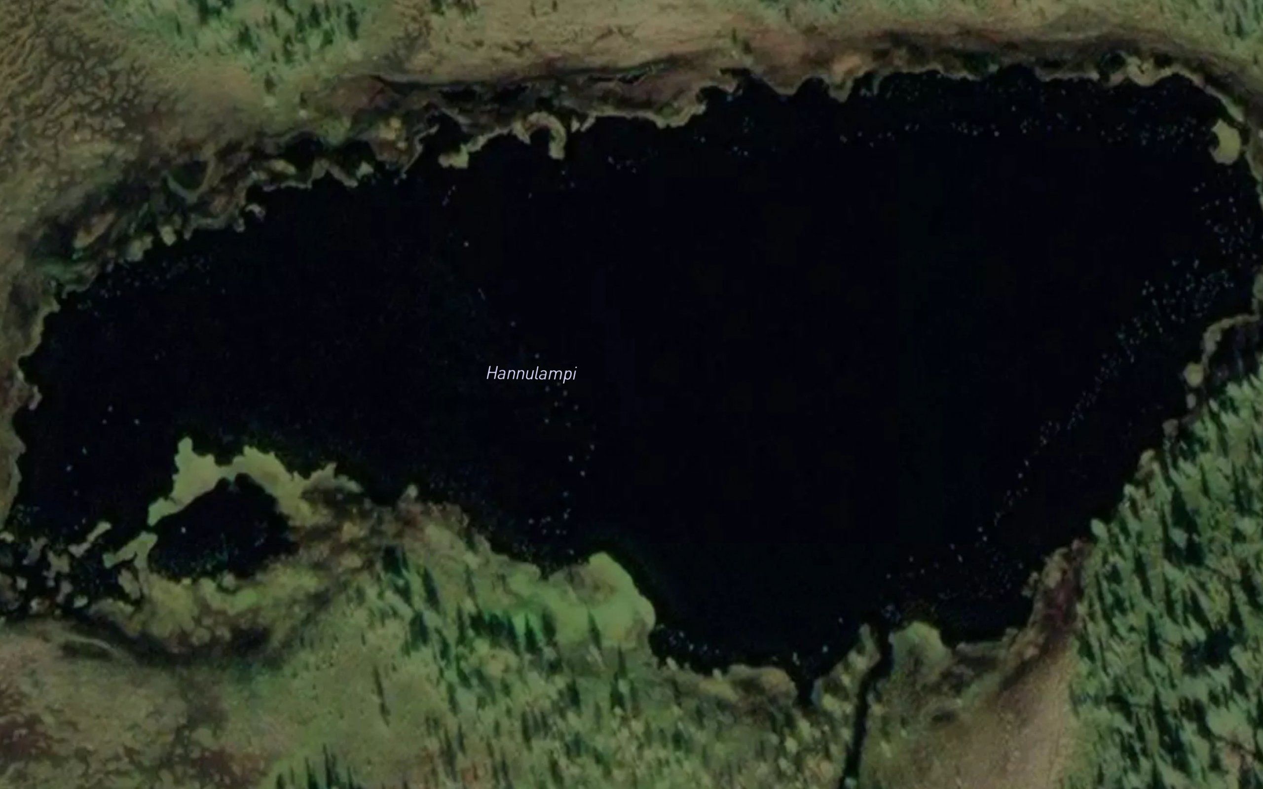 Hannulampi