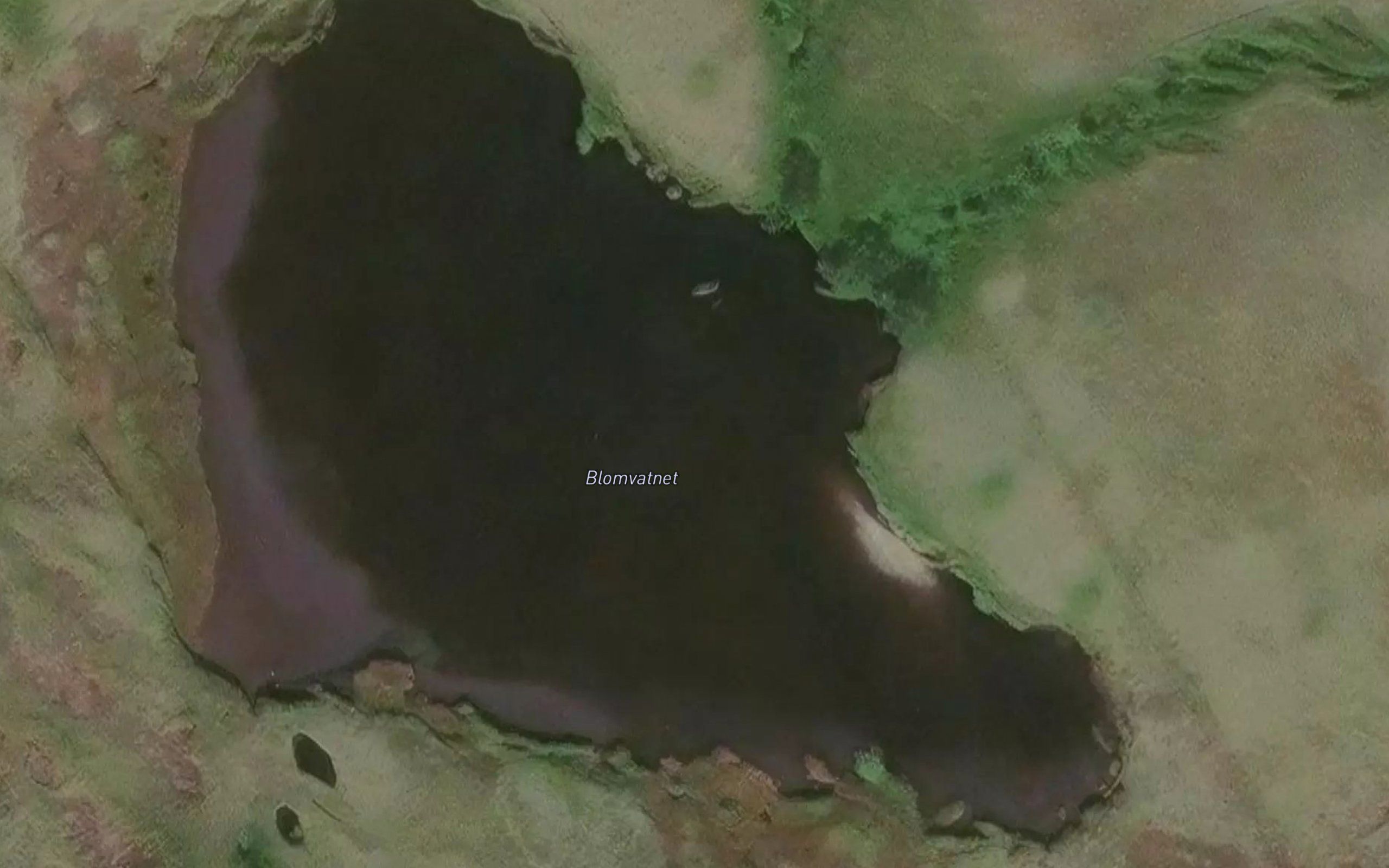 Blomvatnet