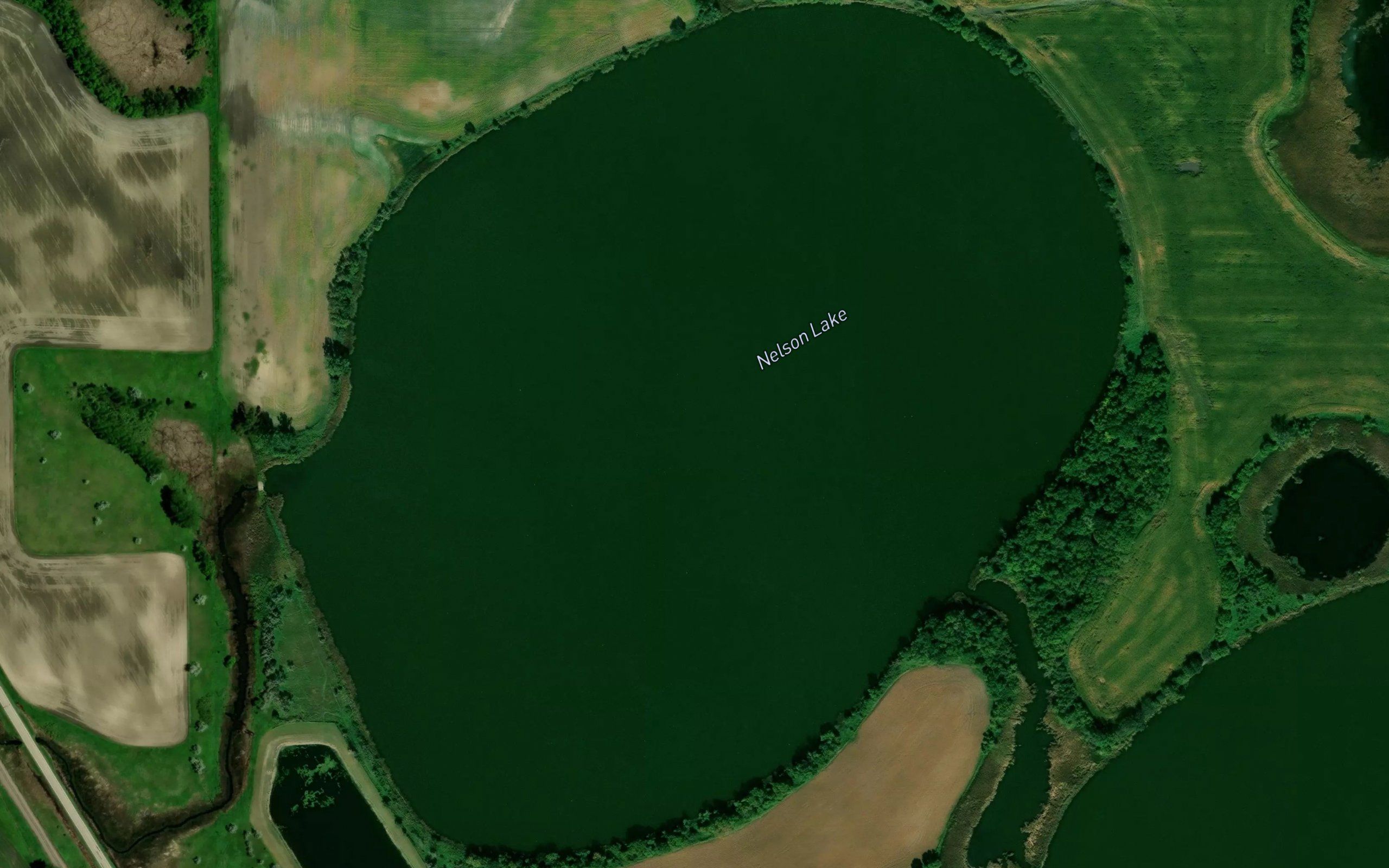 Nelson Lake