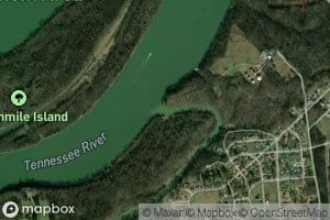 Spring Creek