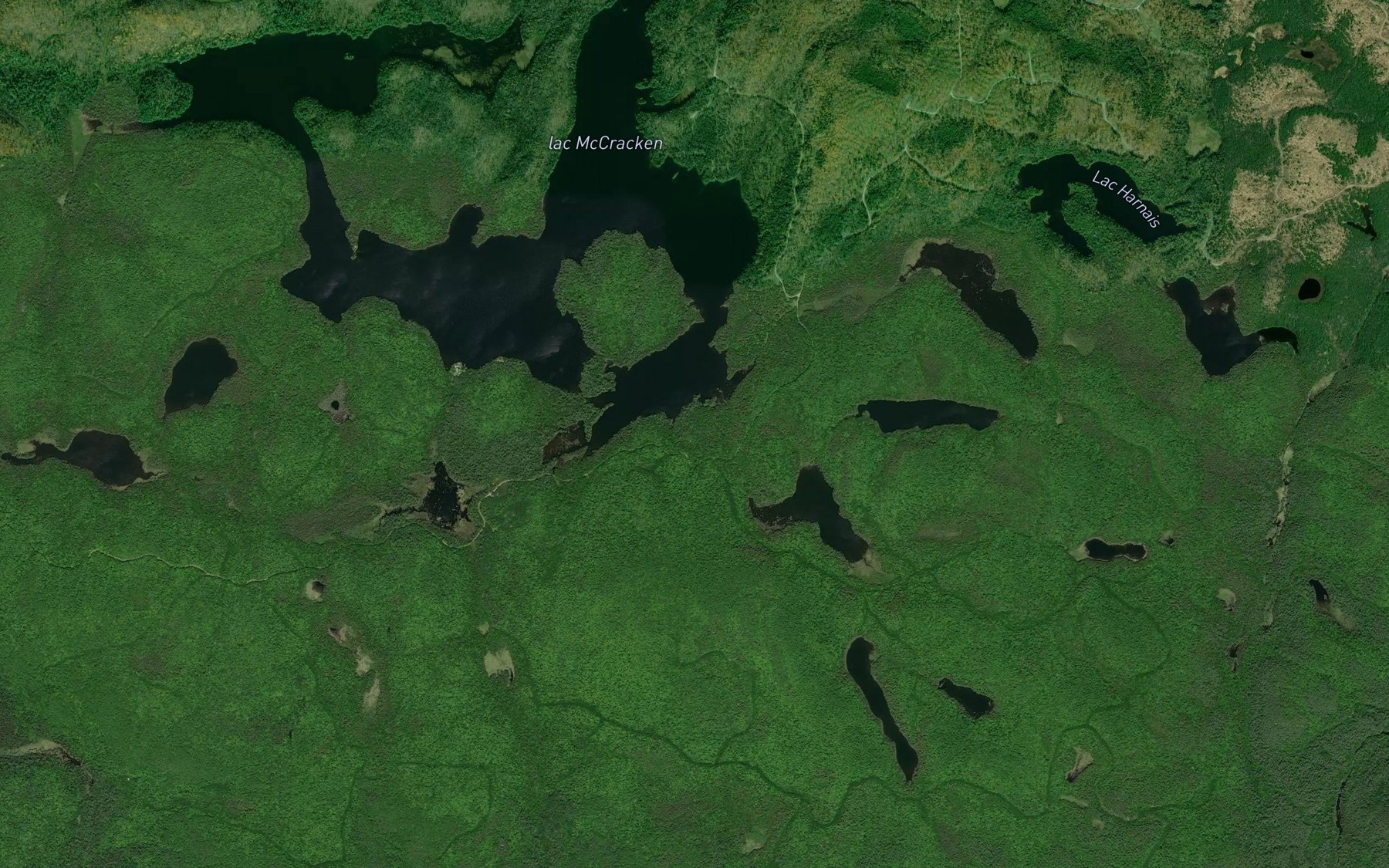 Satellite map of the Baie Walkers
