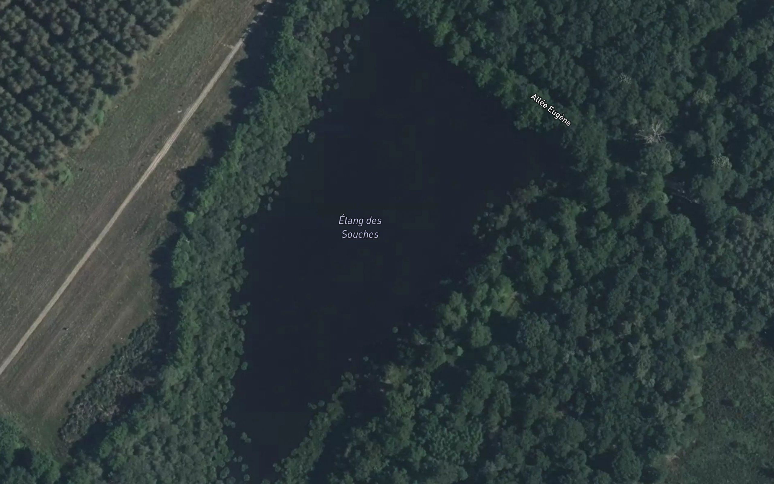 Etang des Souches