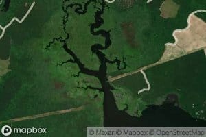 Dragon Swamp
