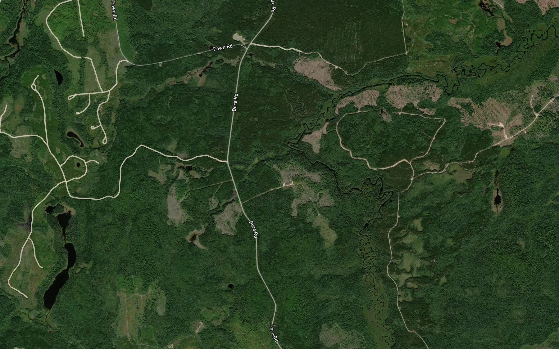 Satellite map of the Angus Creek