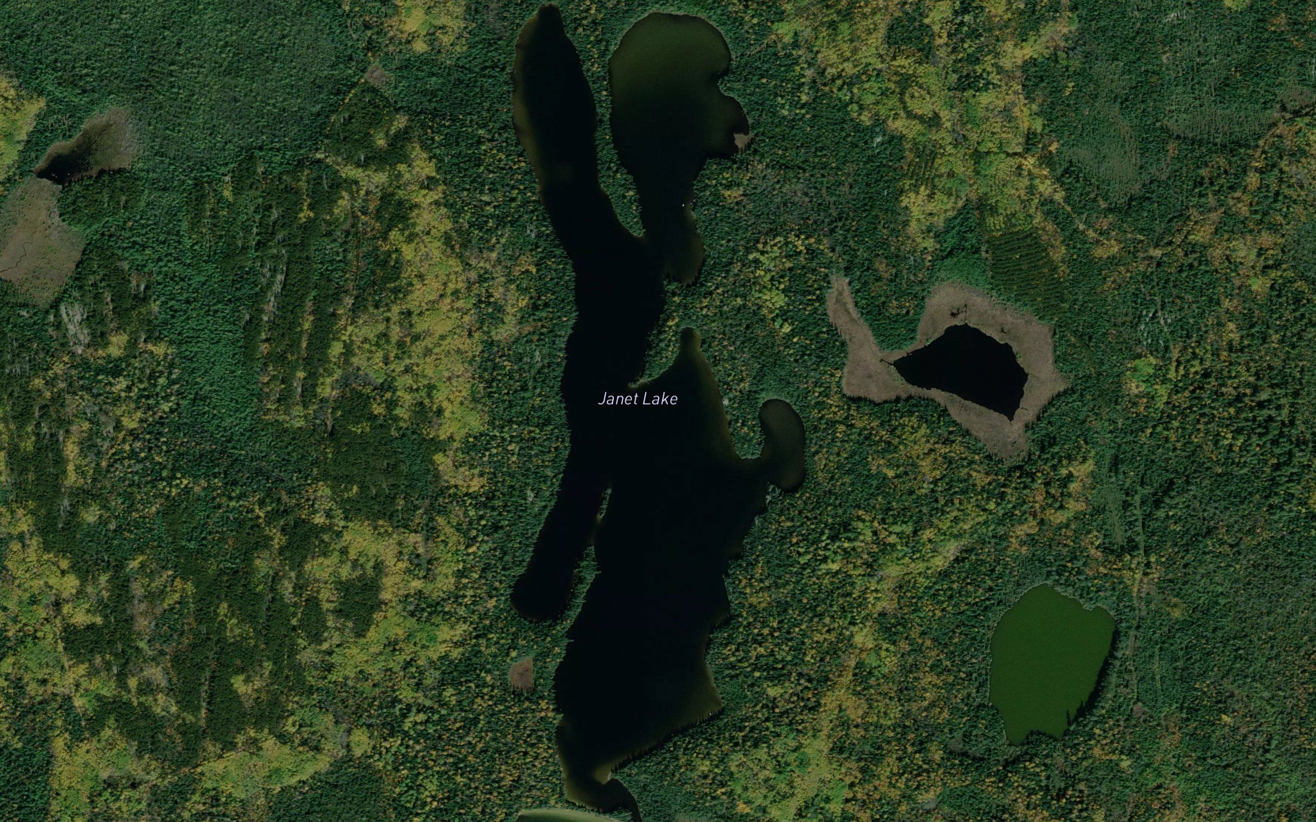 Janet Lake