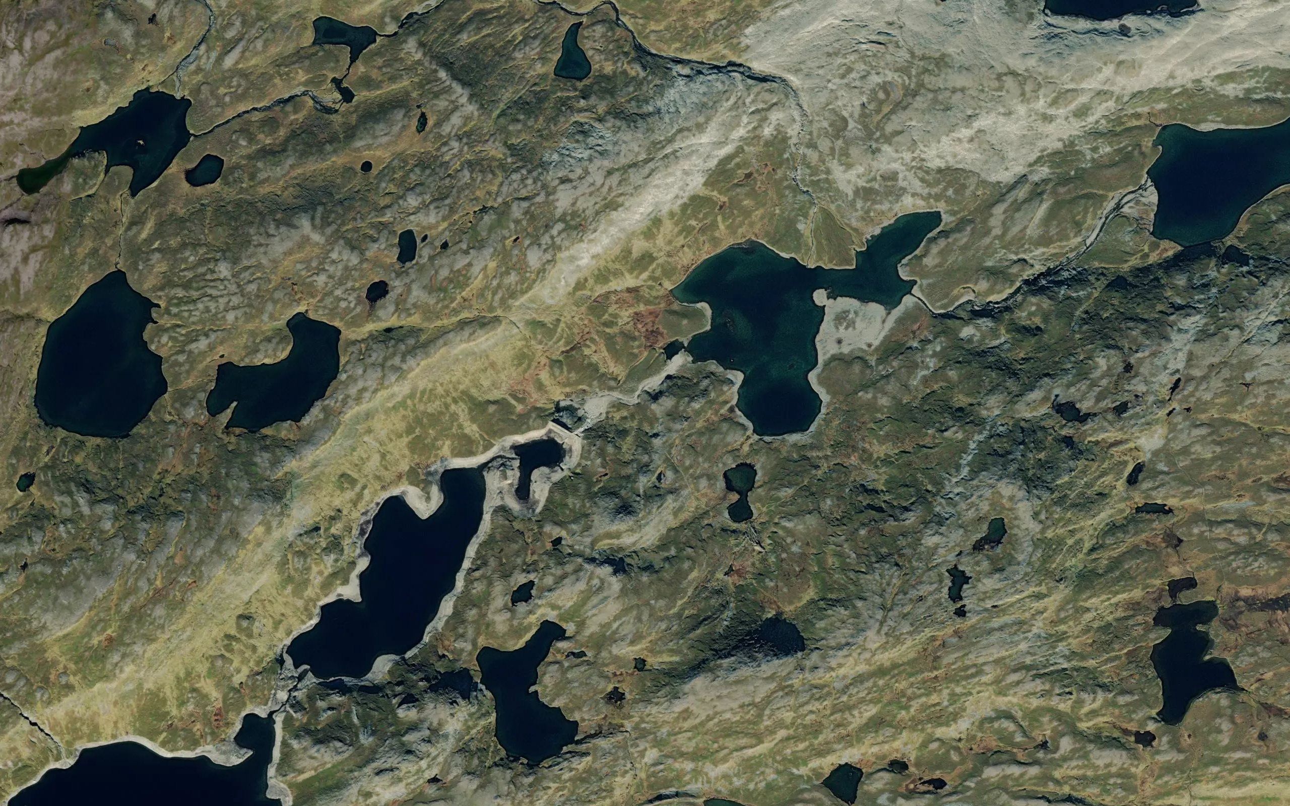 Lavvarjavrit
