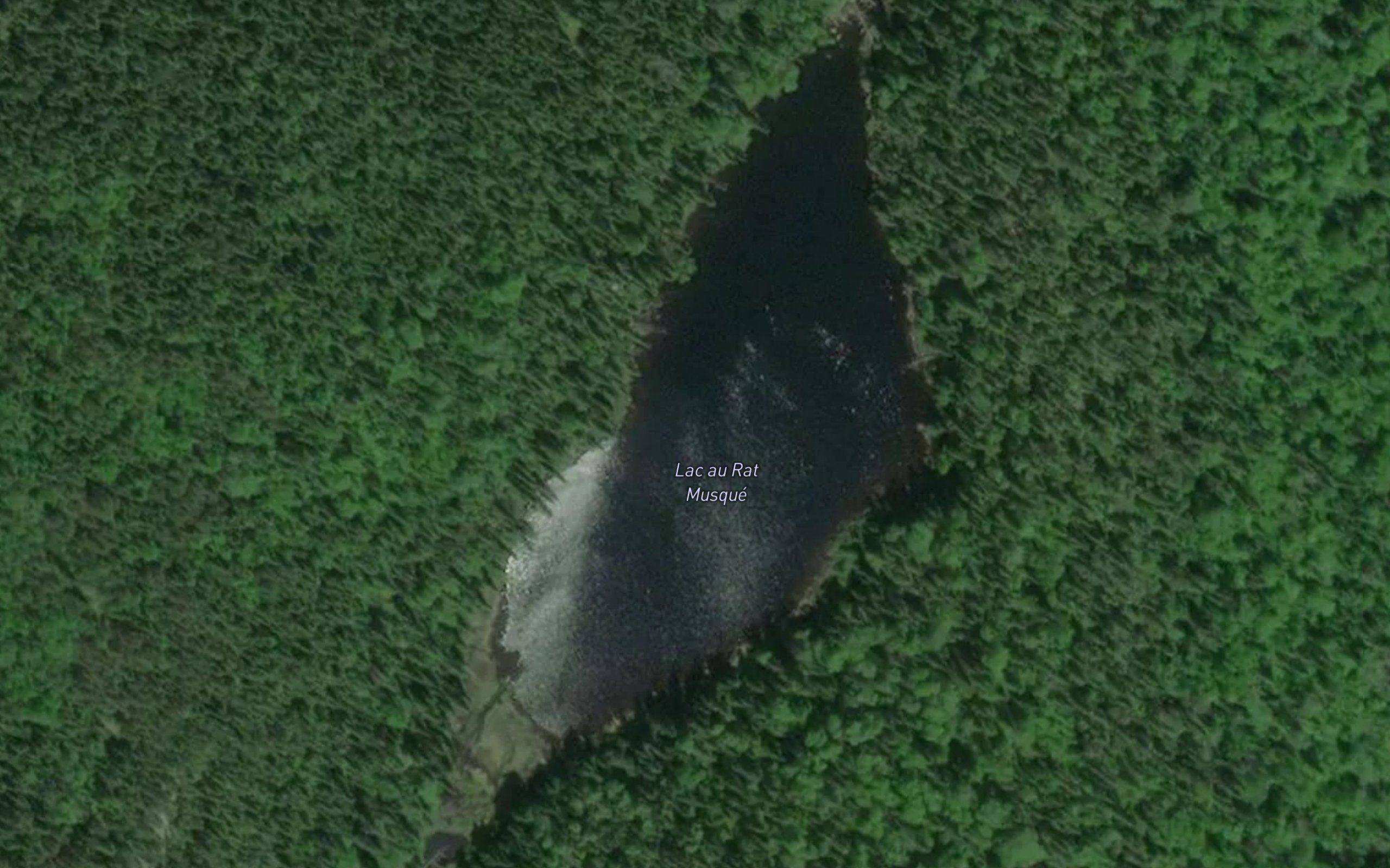Lac au Rat Musque