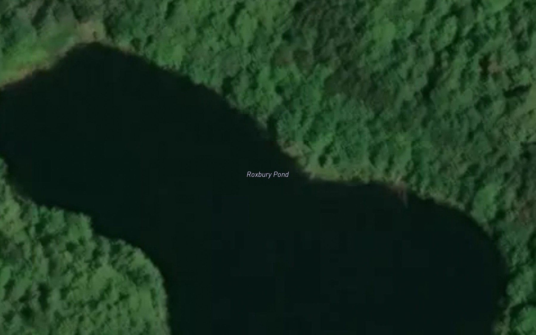 Satellite map of the Roxbury Pond