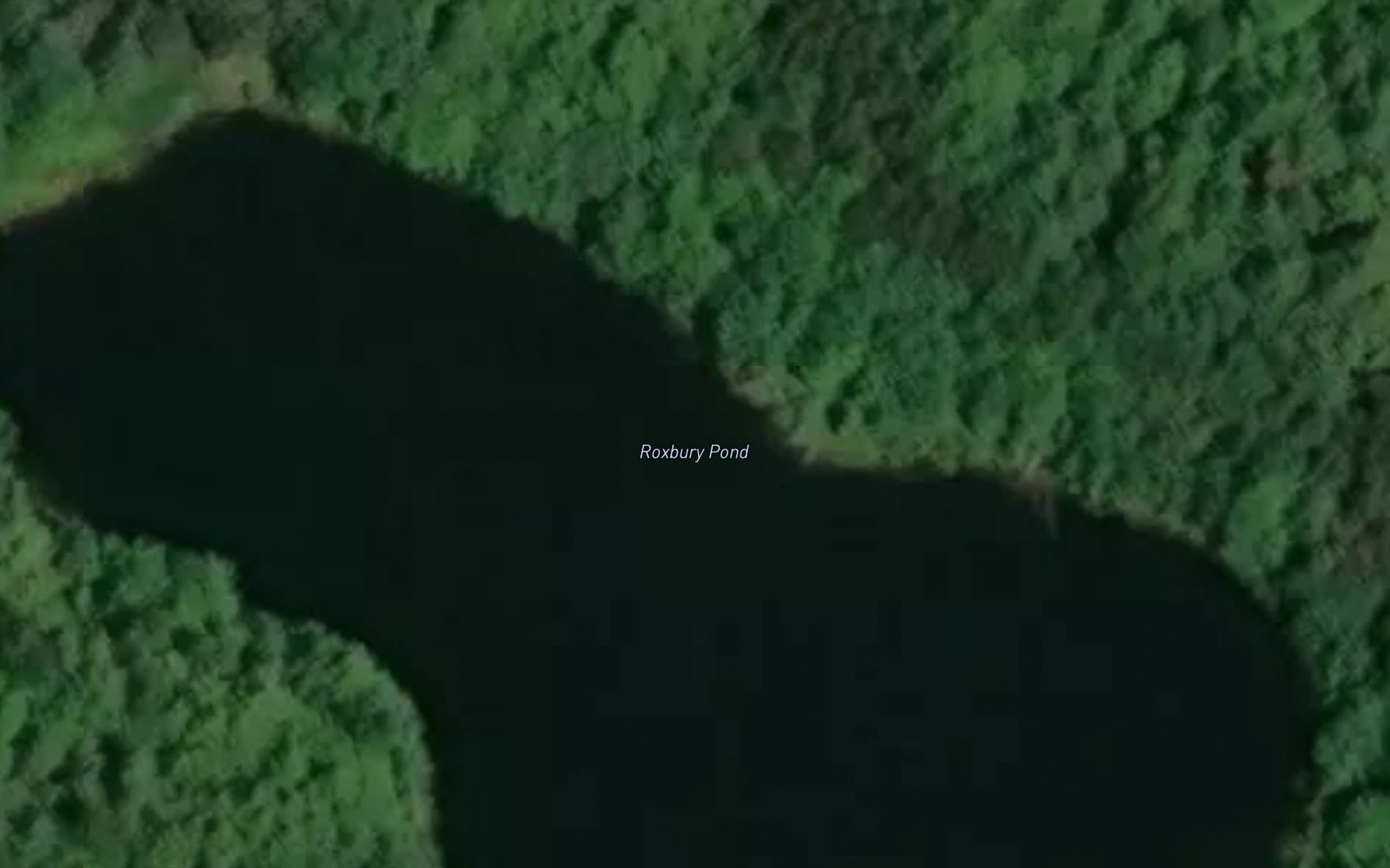 Roxbury Pond