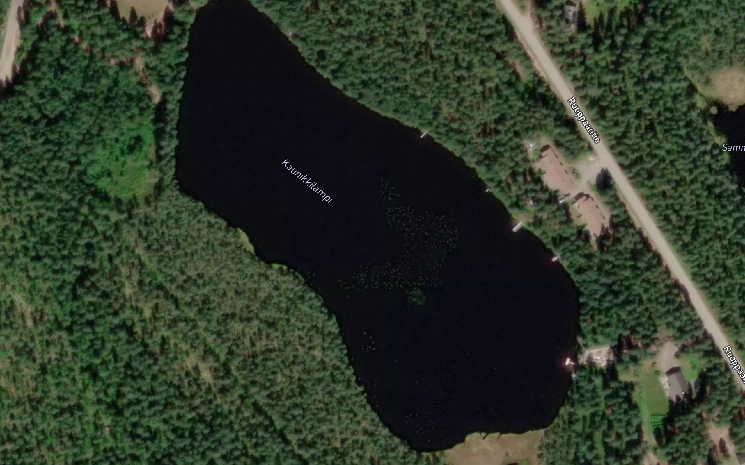 Kaunikkilampi