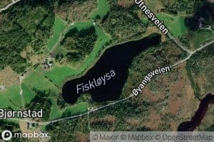 Fiskloysa