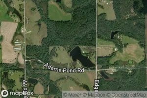 Adams Pond