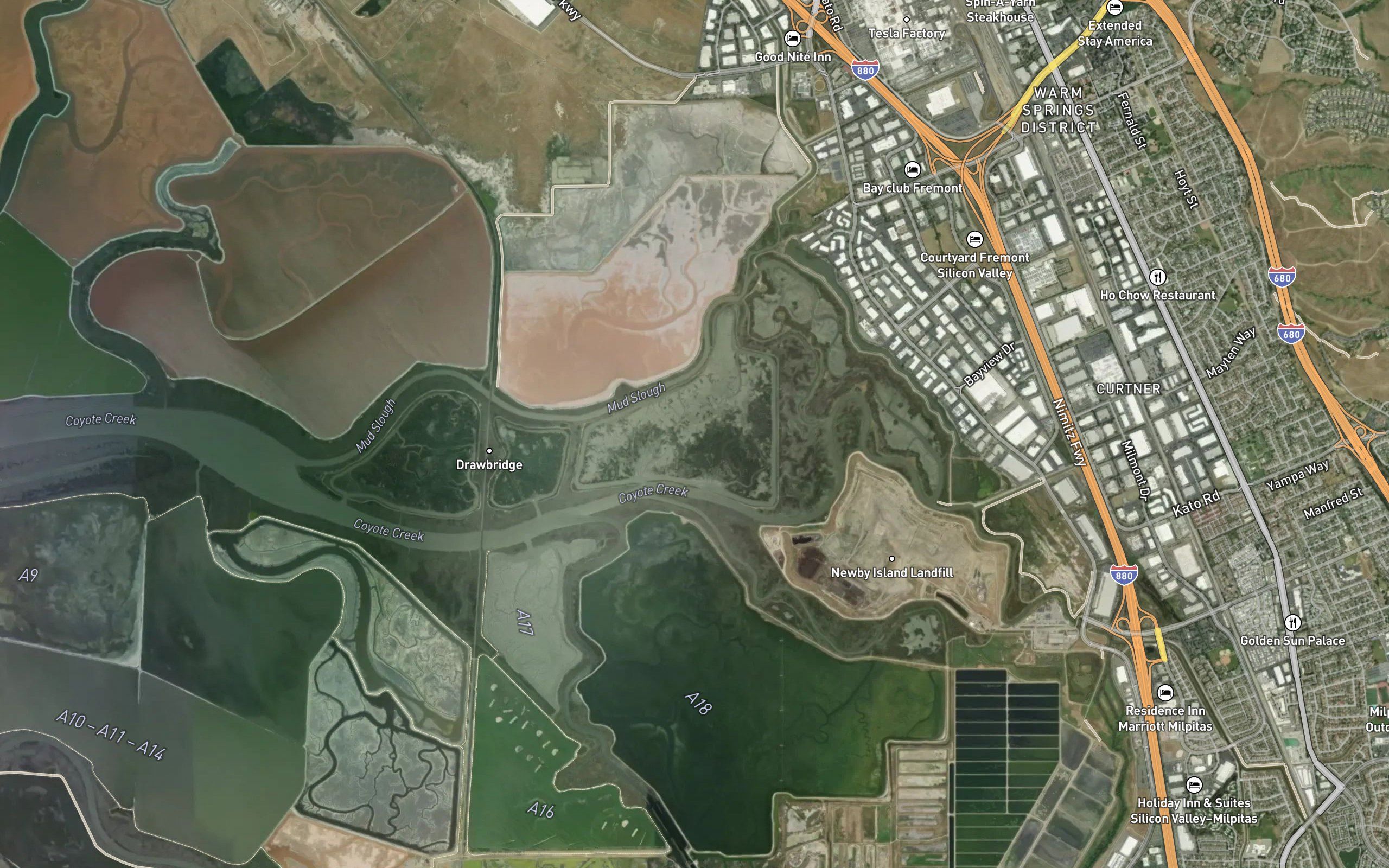 Salt Pond A19
