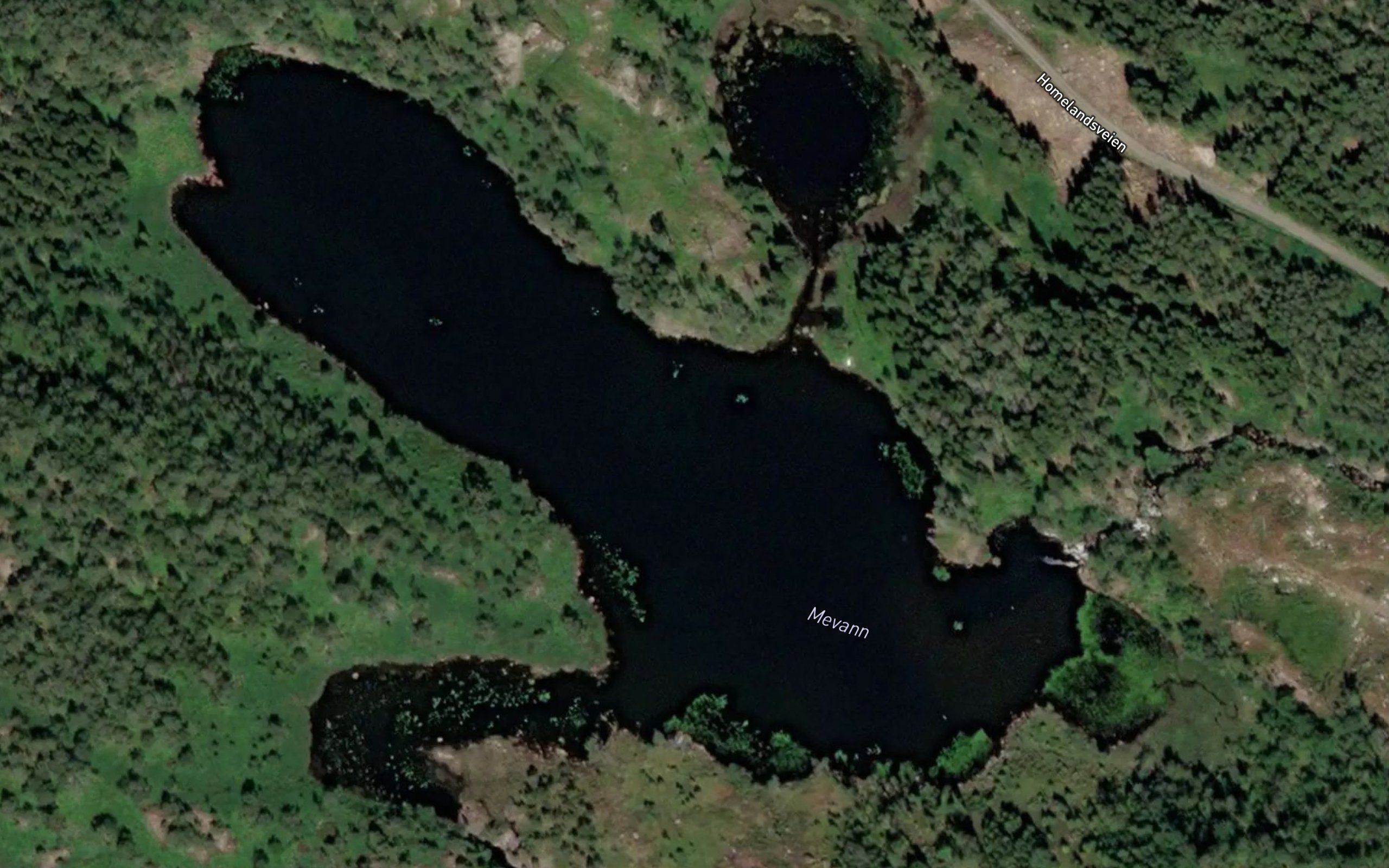 Mevann