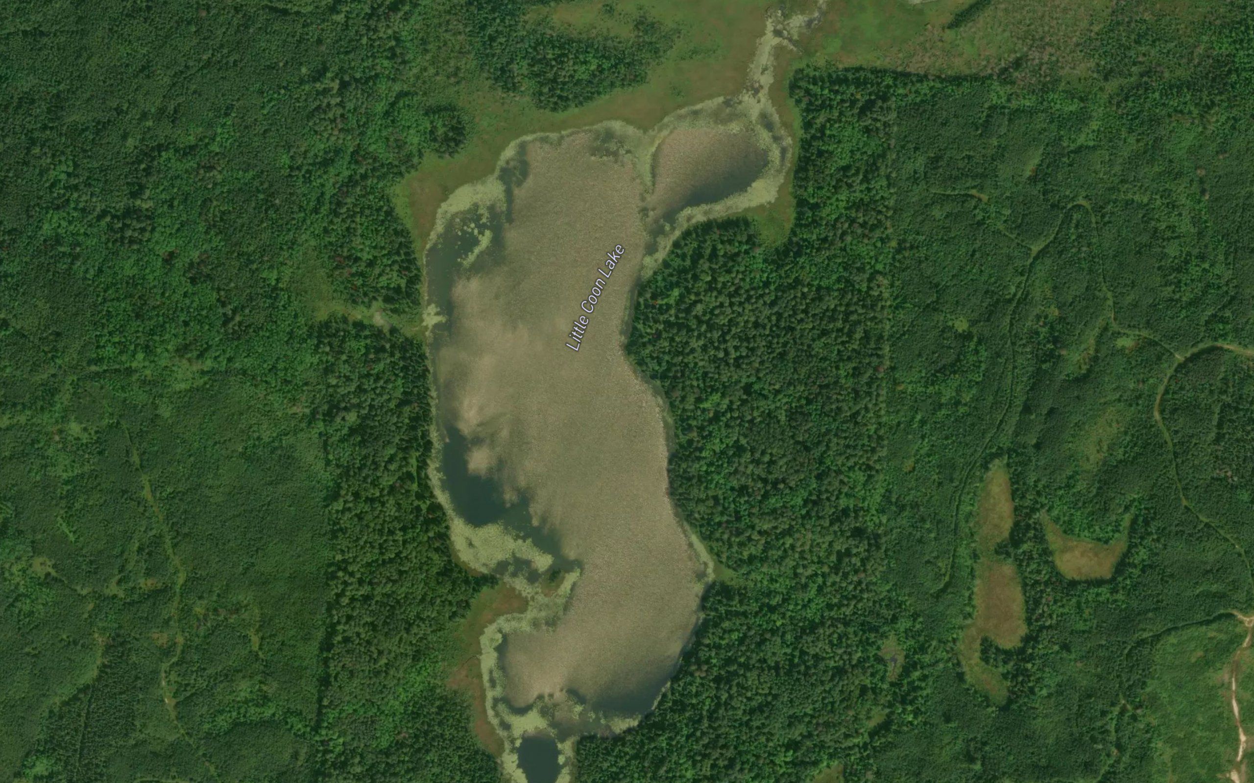 Little Coon Lake