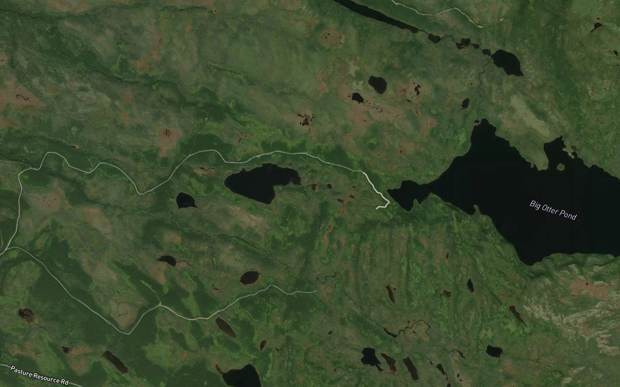 Little Otter Pond