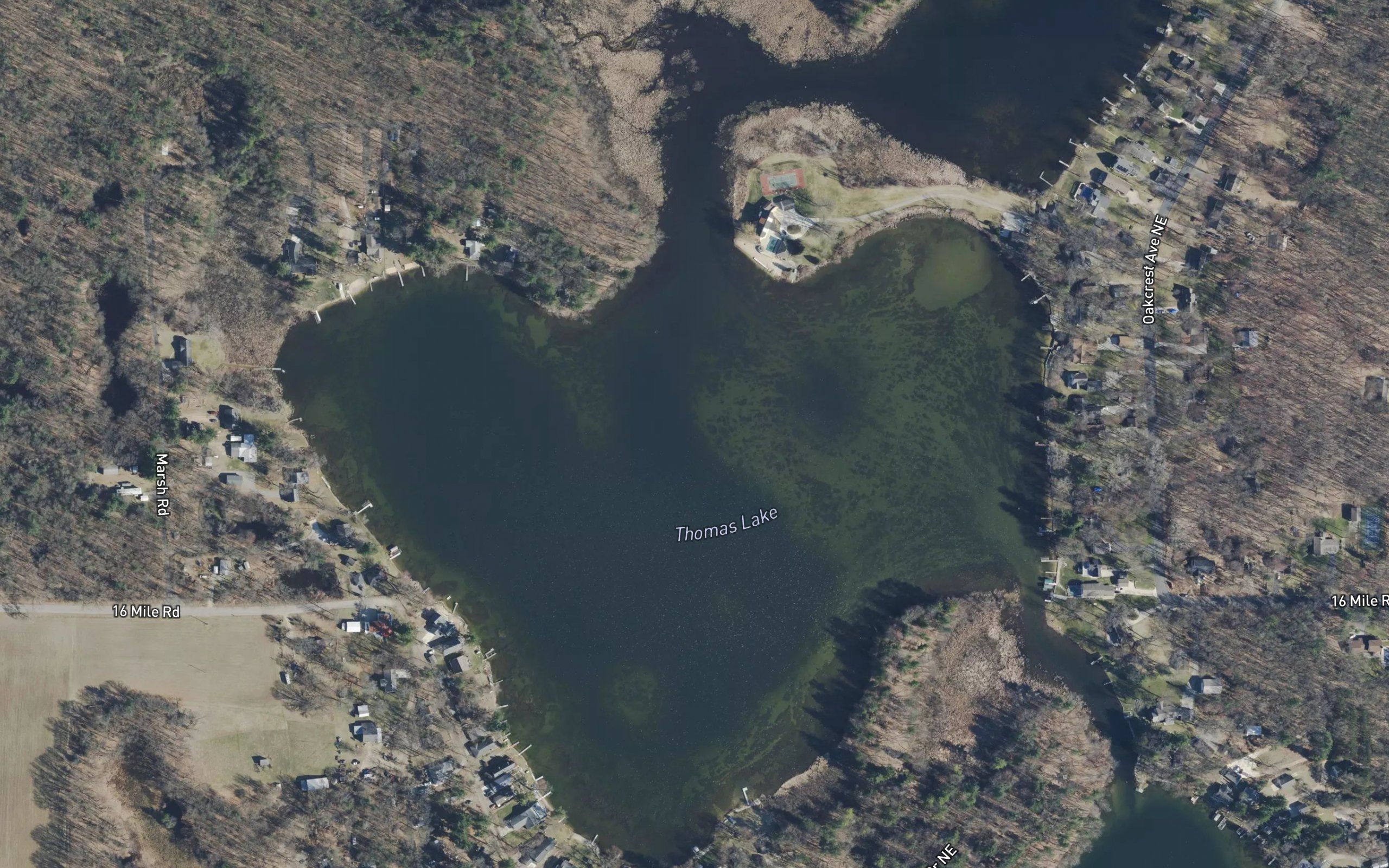 Thomas Lake