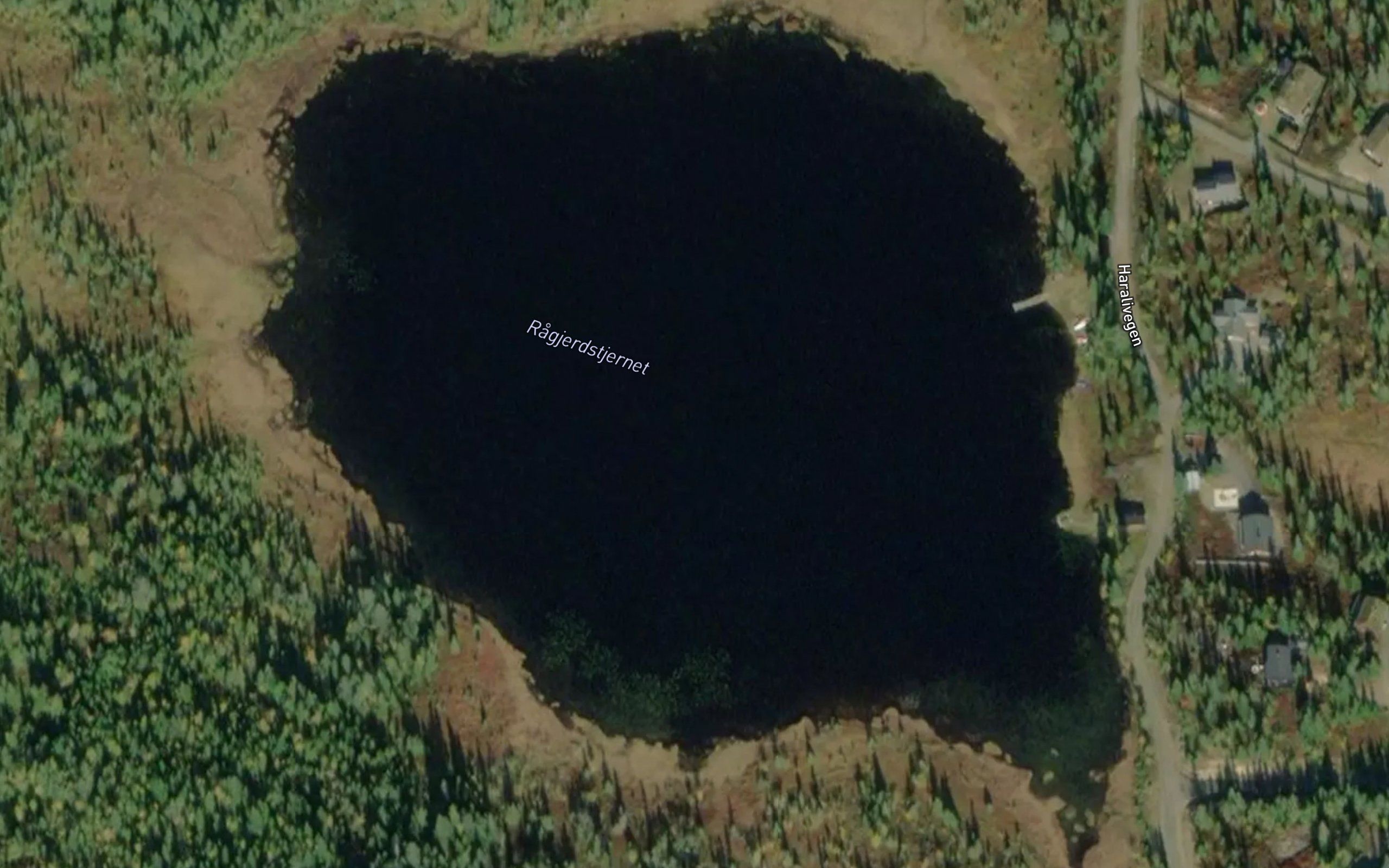Ragjerdstjernet