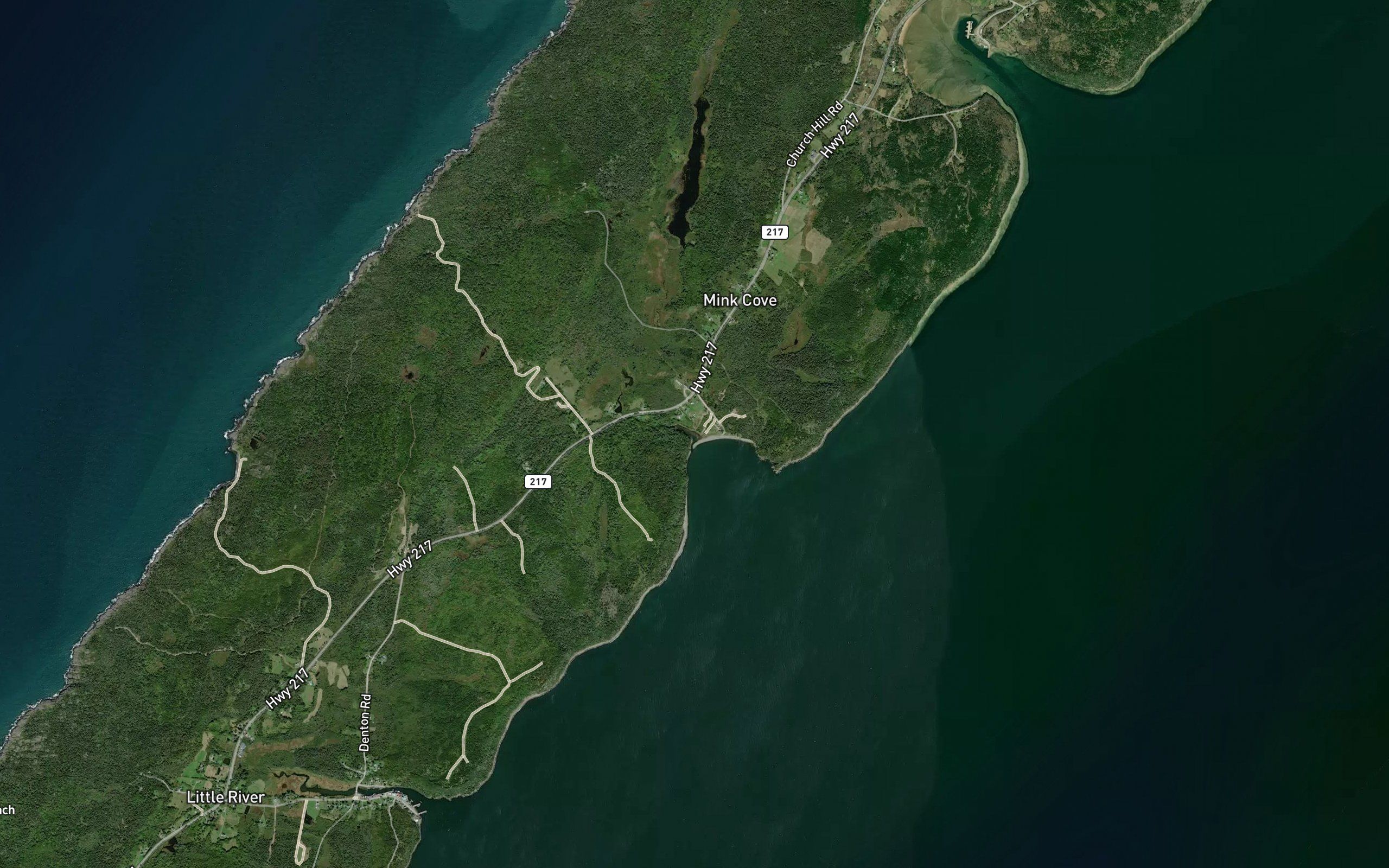 Mink Cove Pond