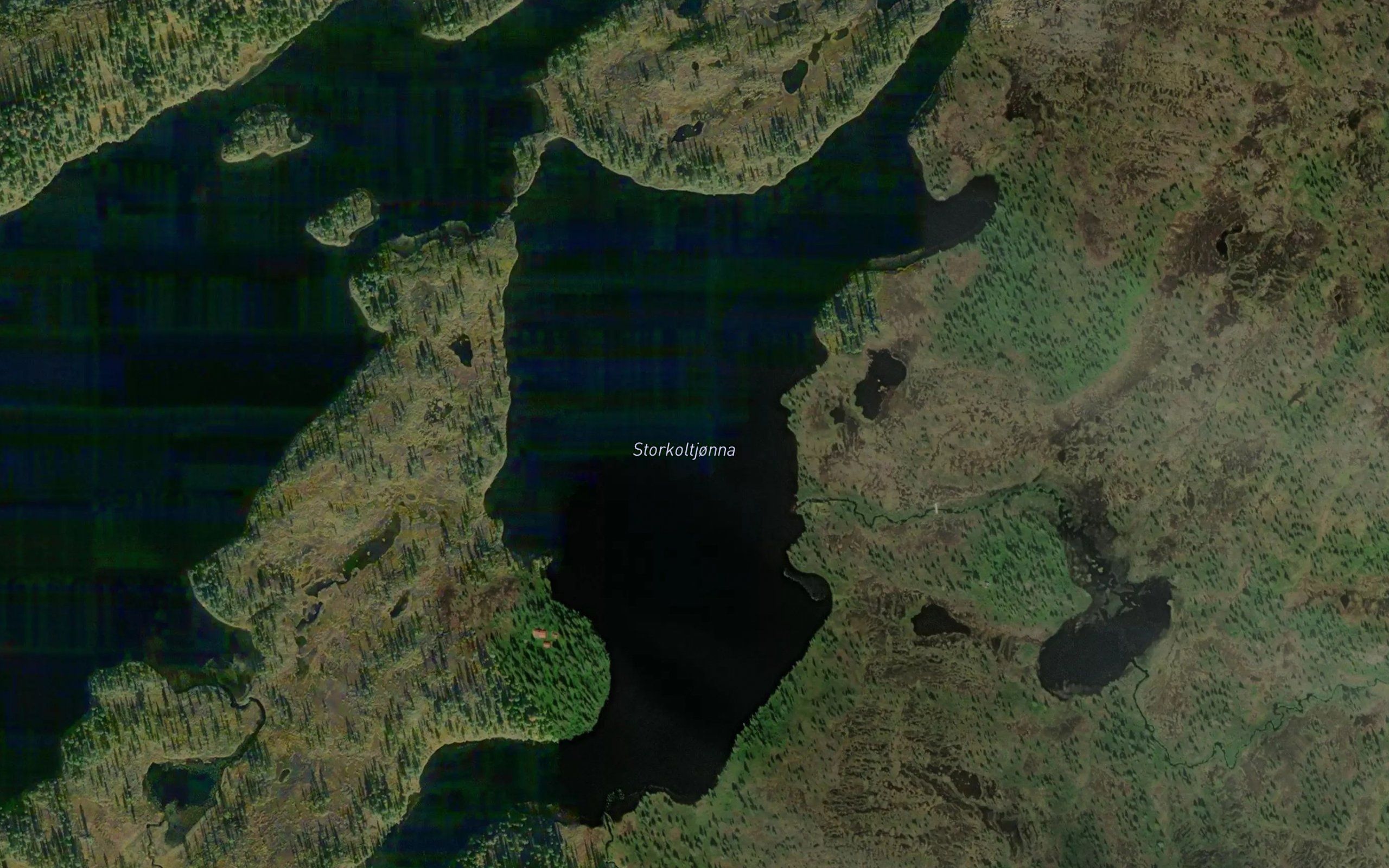 Storkoltjonna