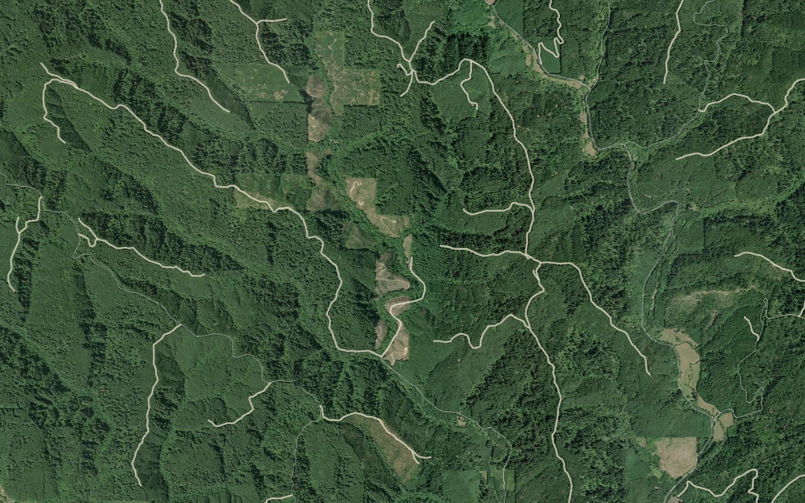 Pyle Creek