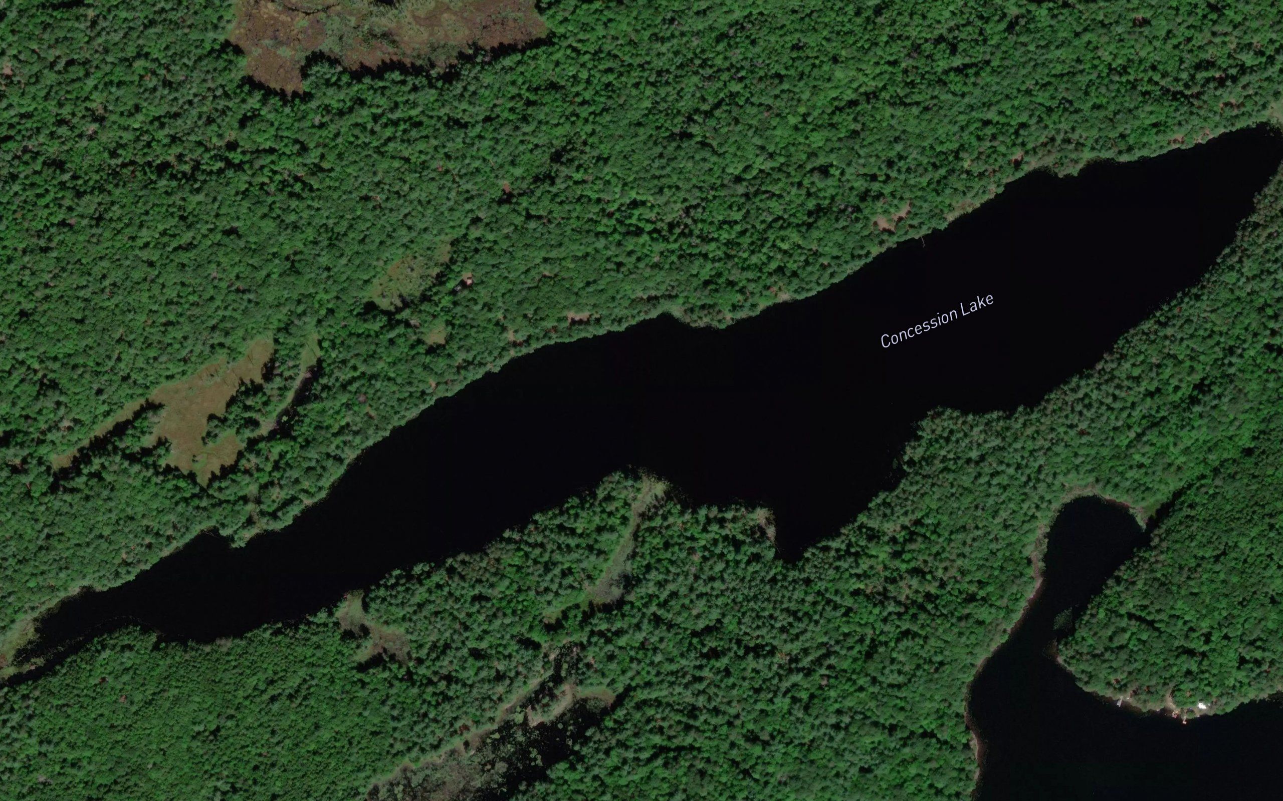 Concession Lake