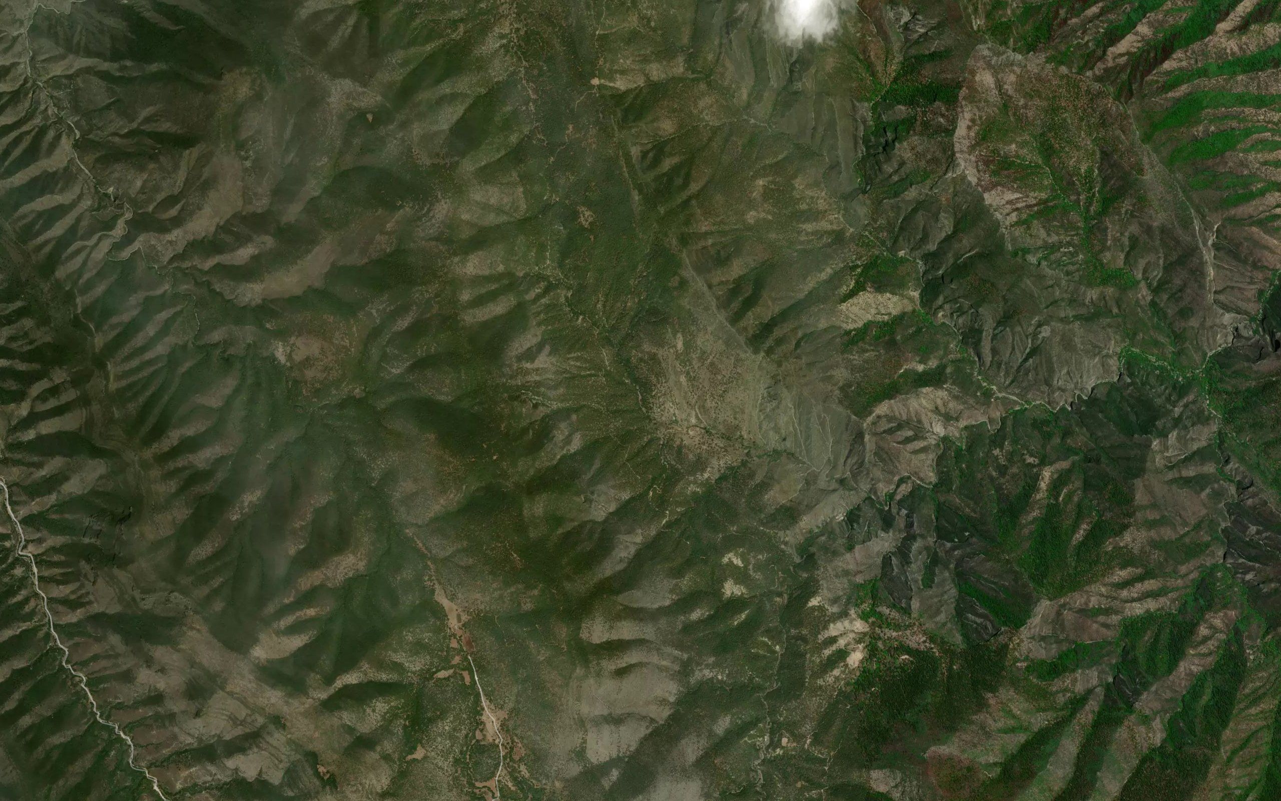 El Alamar