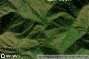 Tennessee Branch
