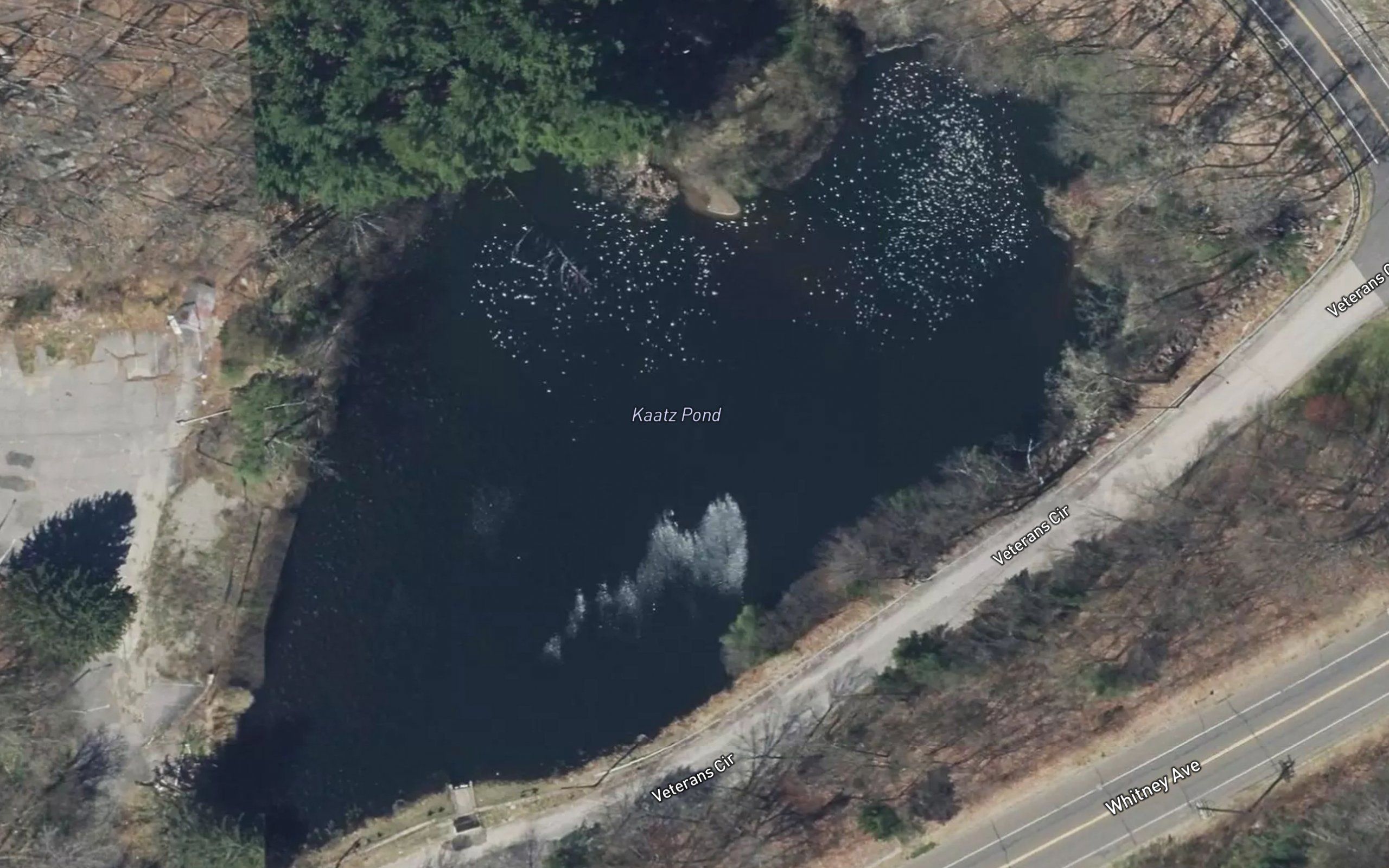 Kaatz Pond