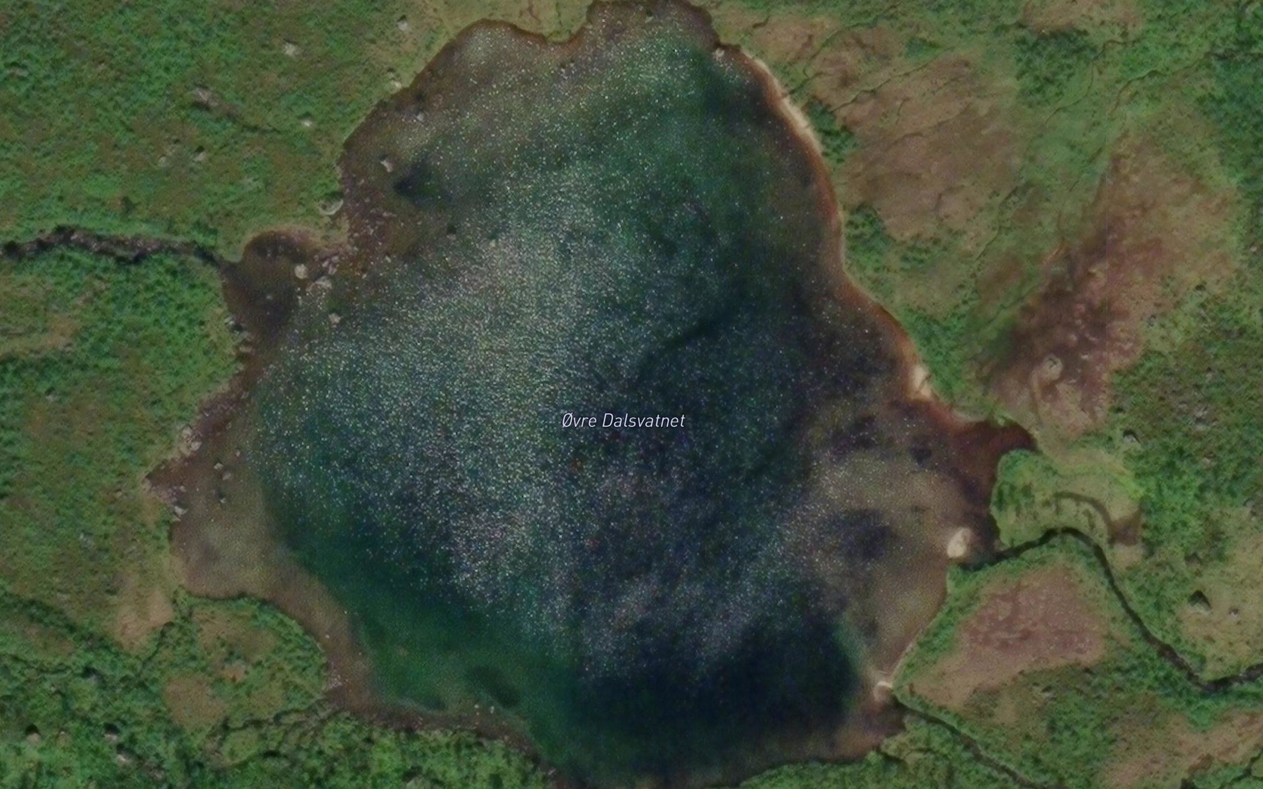 Ovre Dalsvatnet