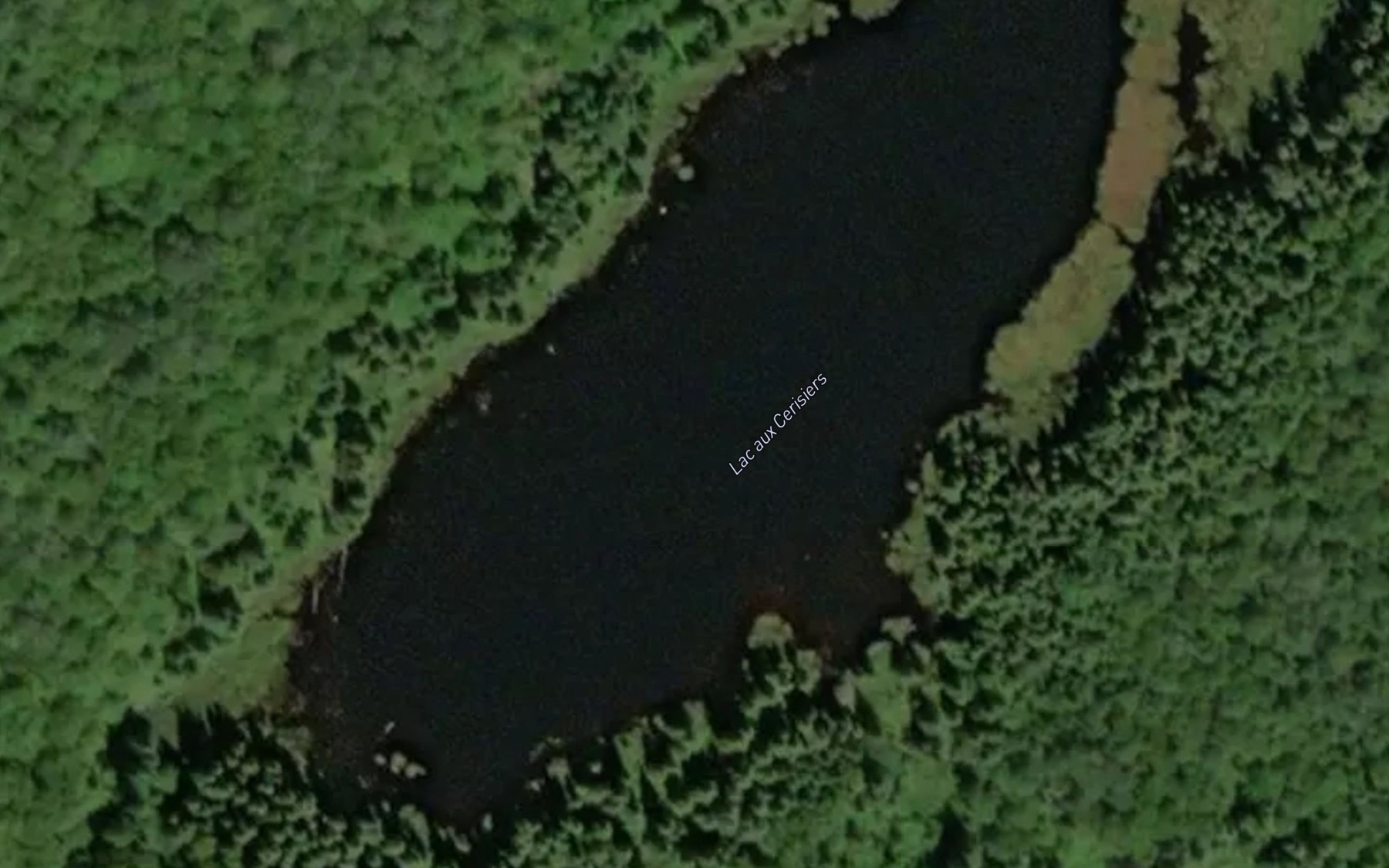 Satellite map of the Lac aux Cerisiers