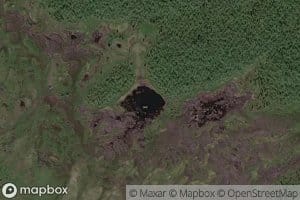 Sualuimoorastjaavras