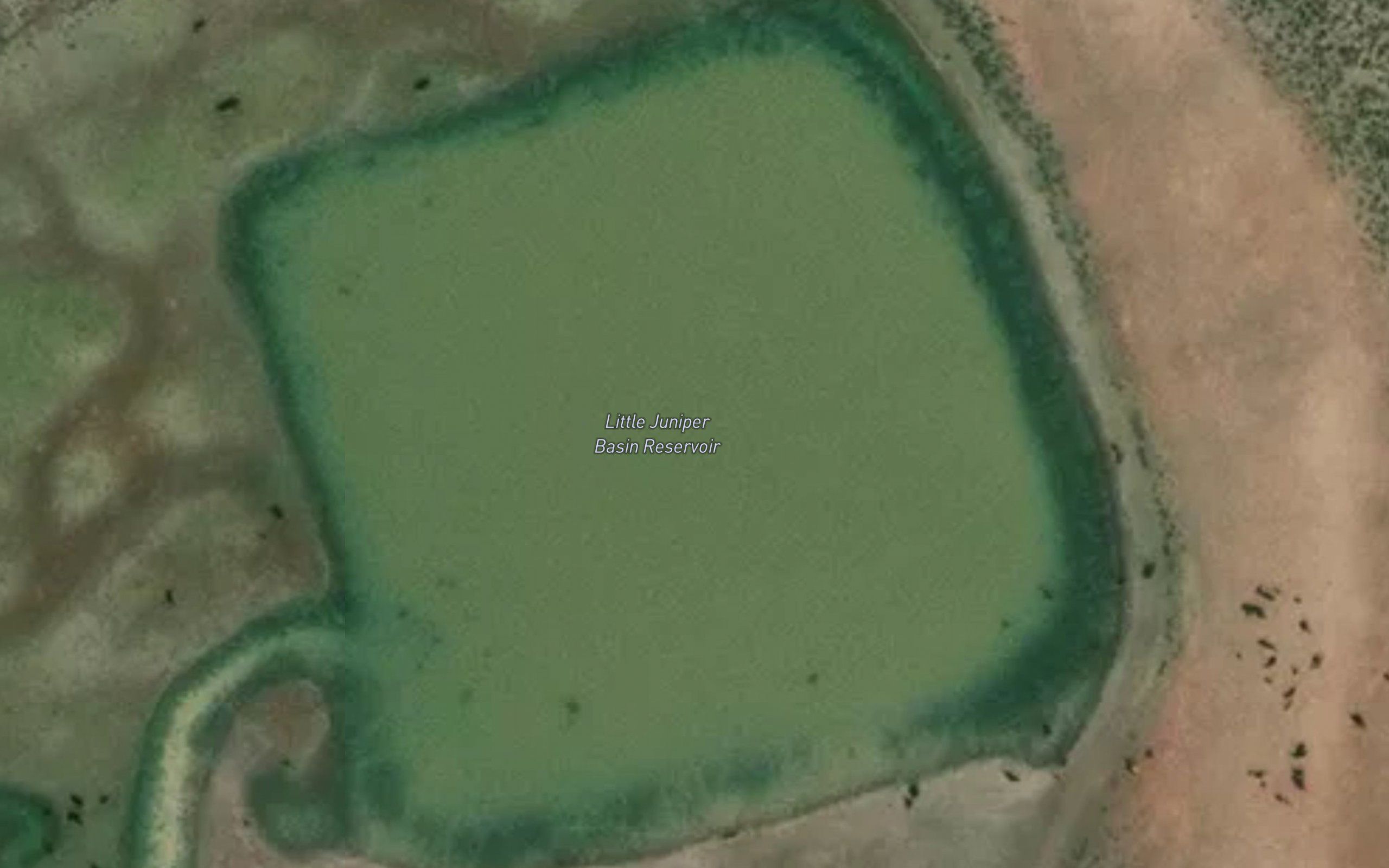 Little Juniper Basin Reservoir