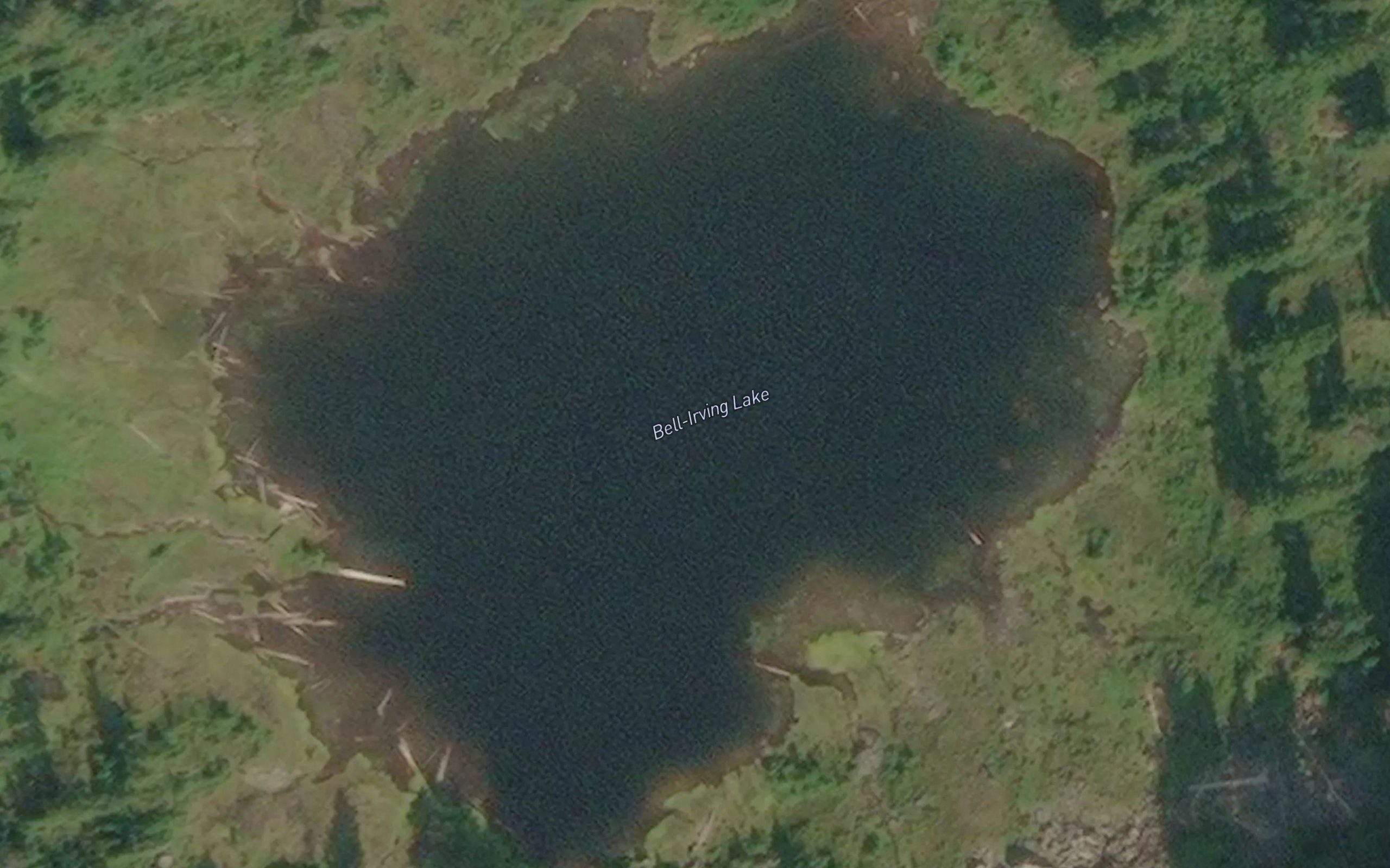 Bell-Irving Lake