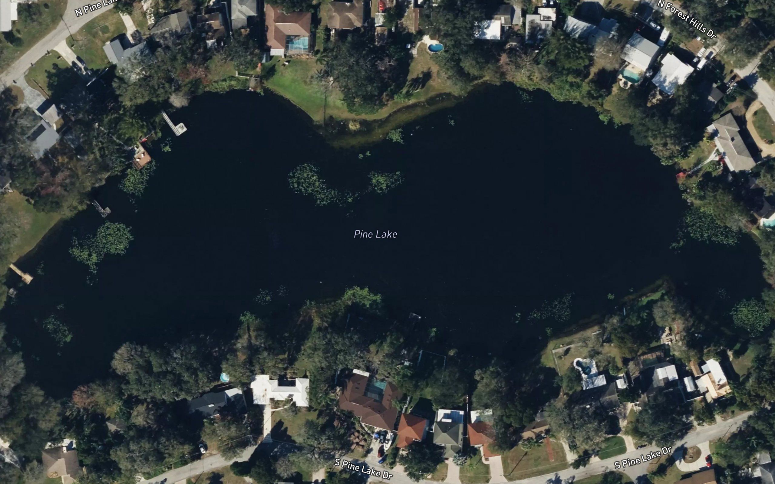 Pine Lake
