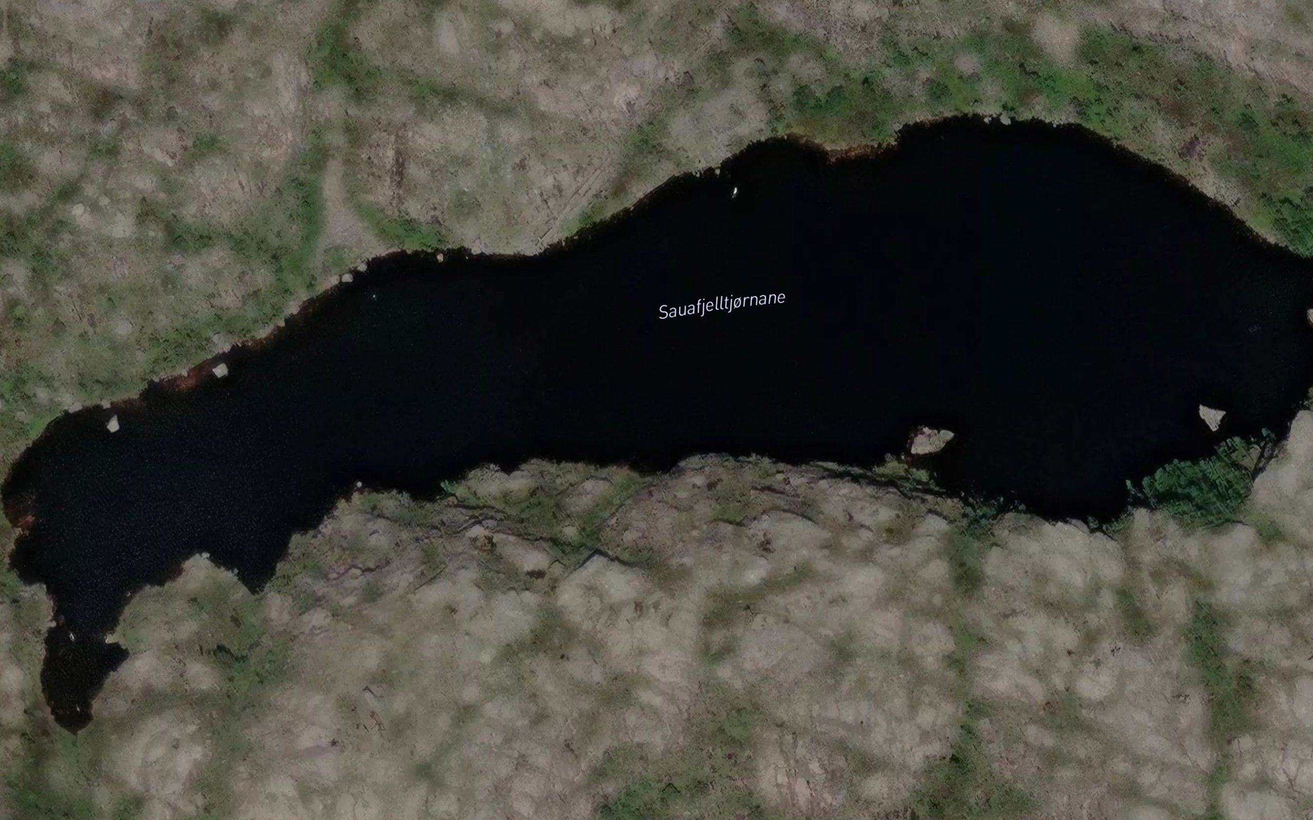 Sauafjelltjornane