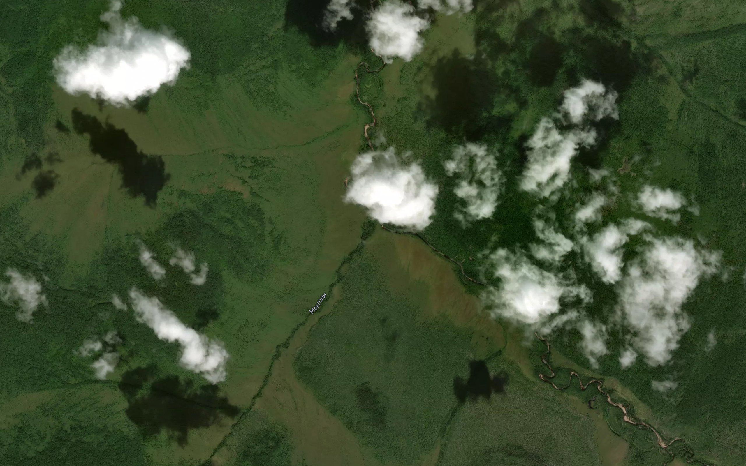 Mokgoli