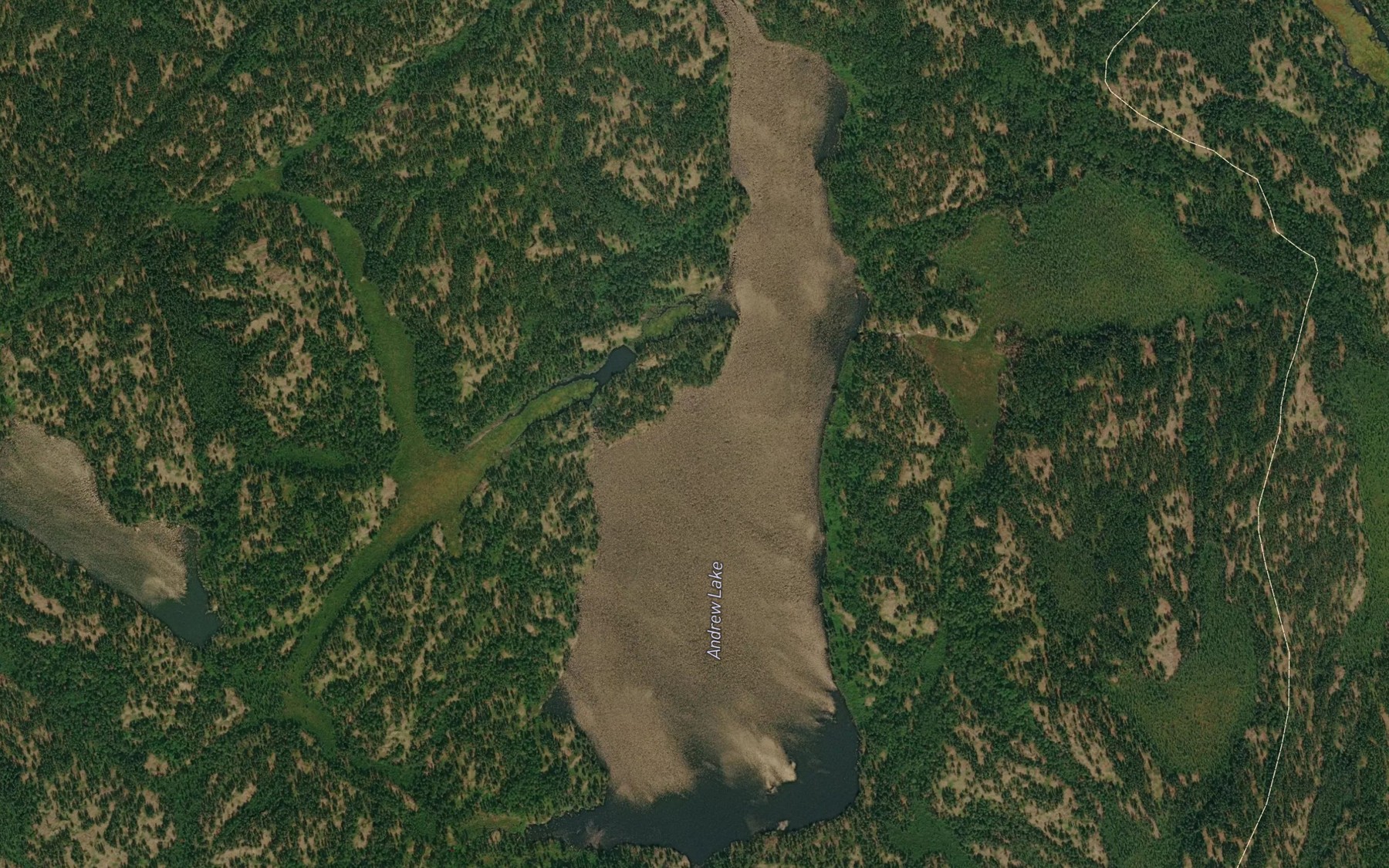 Satellite map of the Andrew Lake
