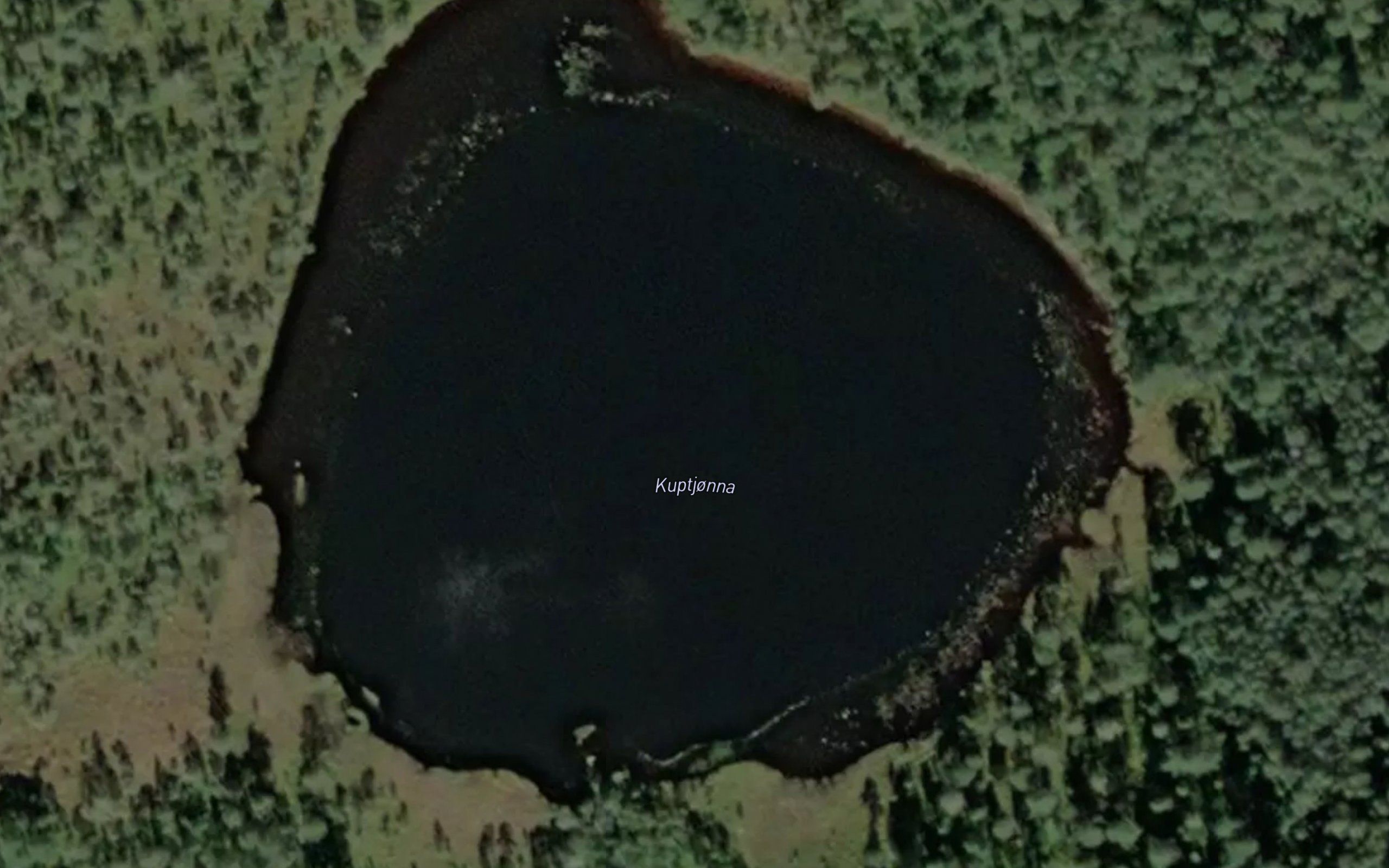 Kuptjorna
