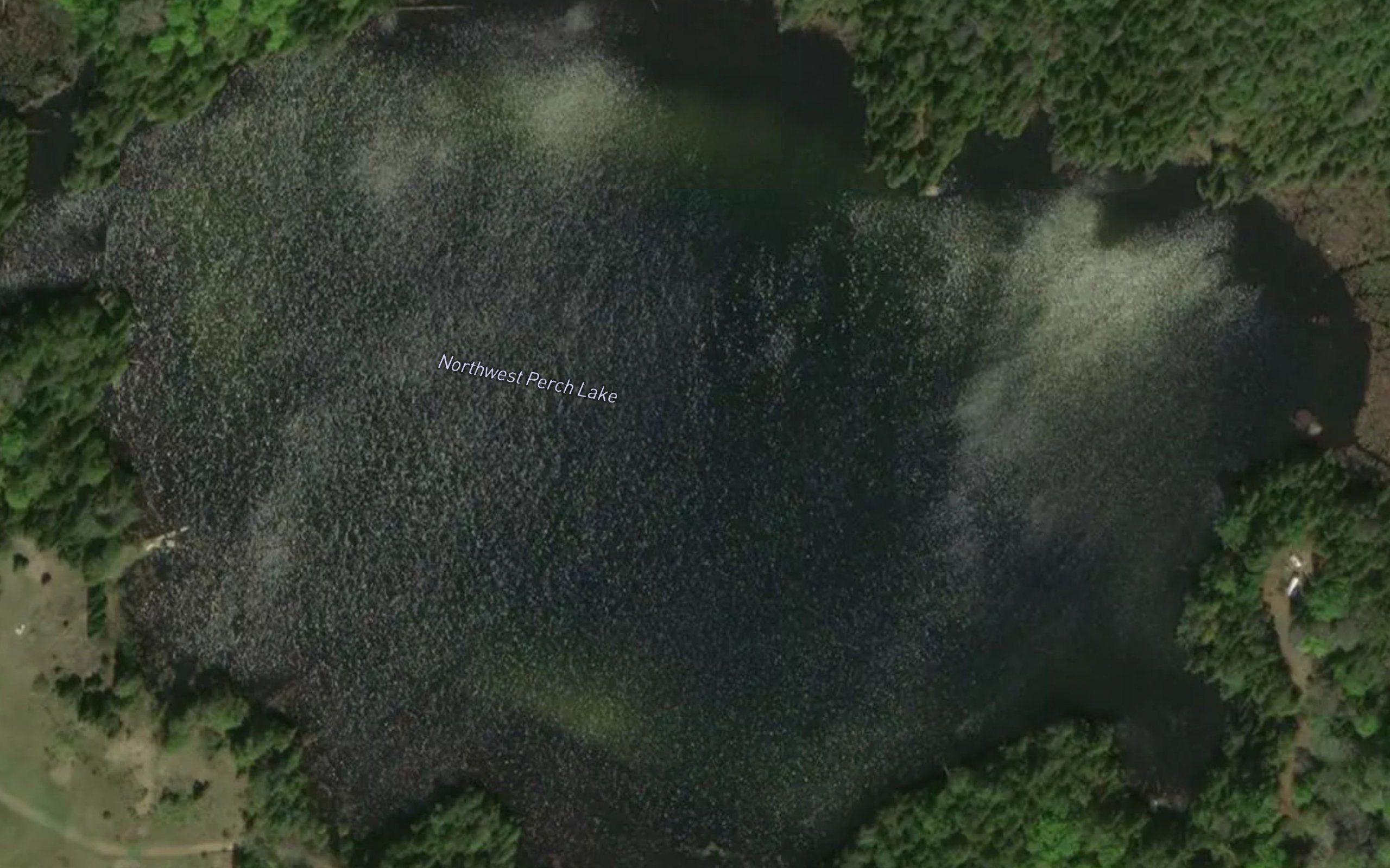Northwest Perch Lake