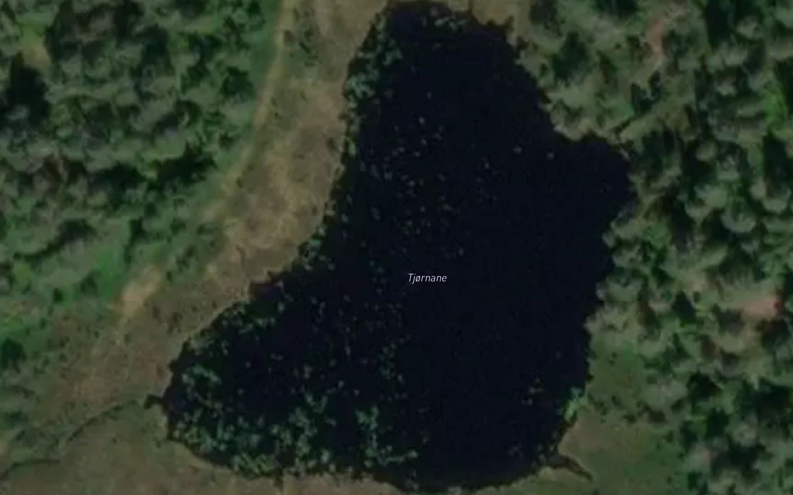 Tjornane