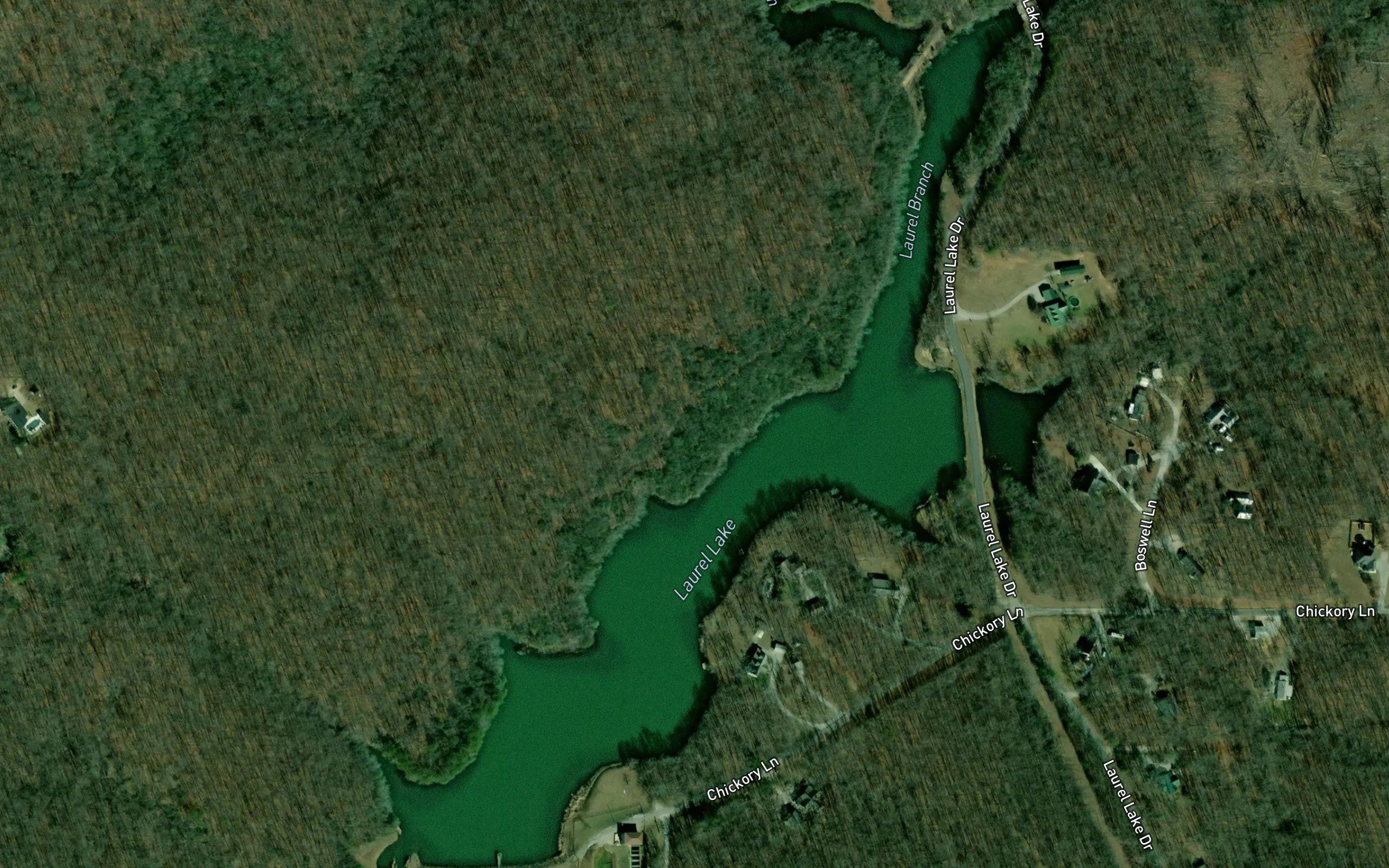 Laurel Lake