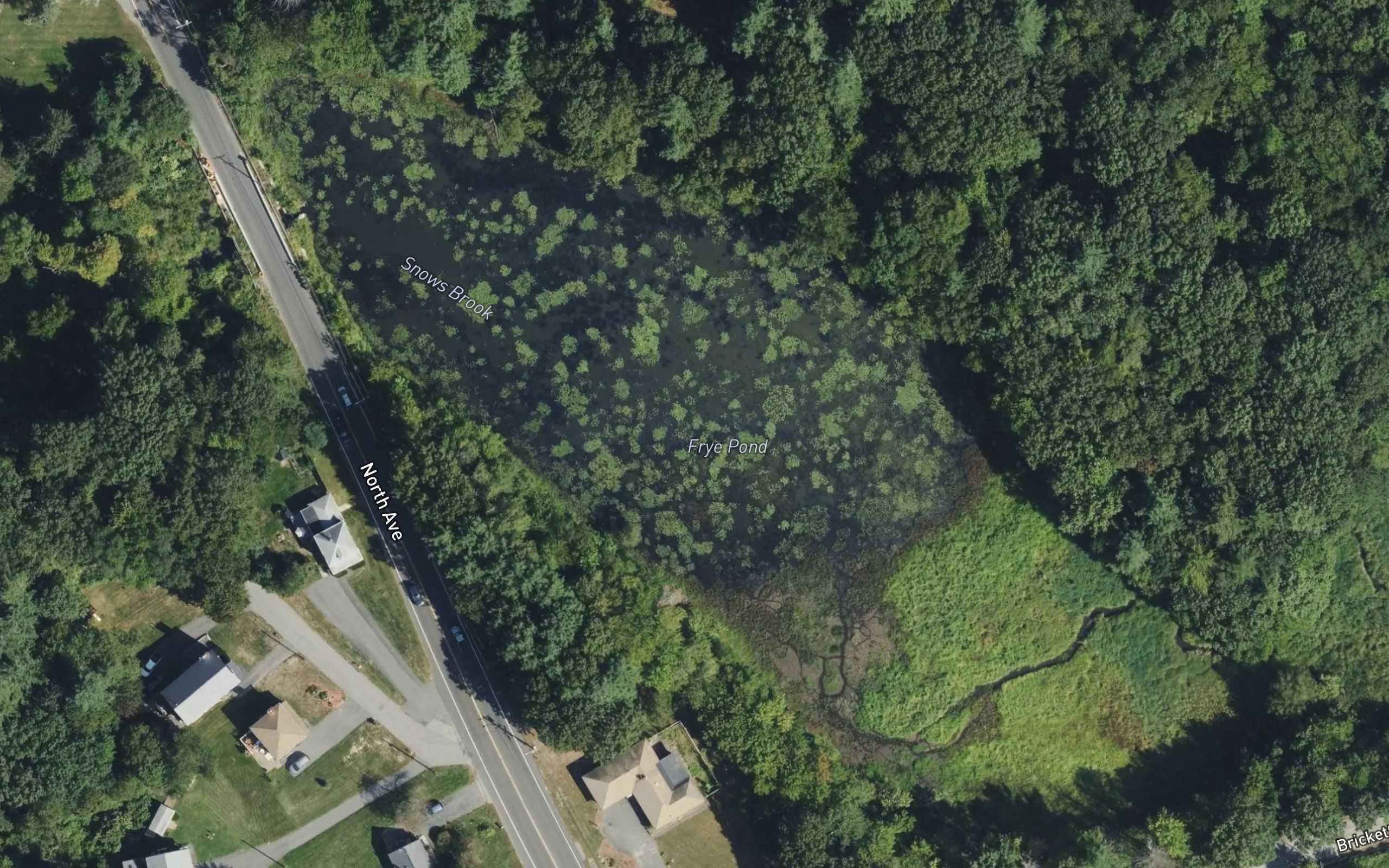 Frye Pond